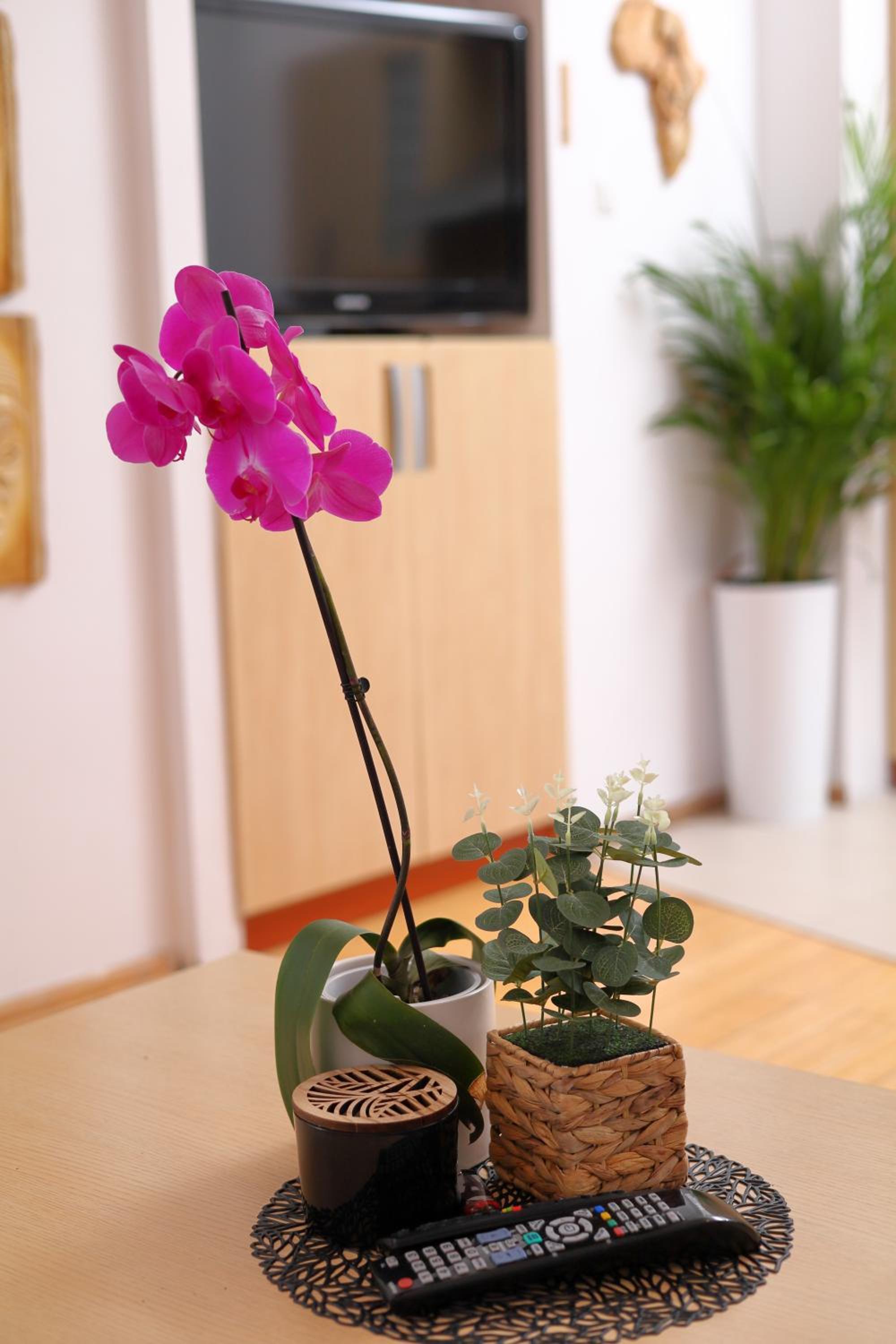 Apartament Słoneczny 5, photo 42