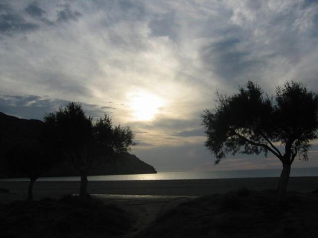 Photo 33