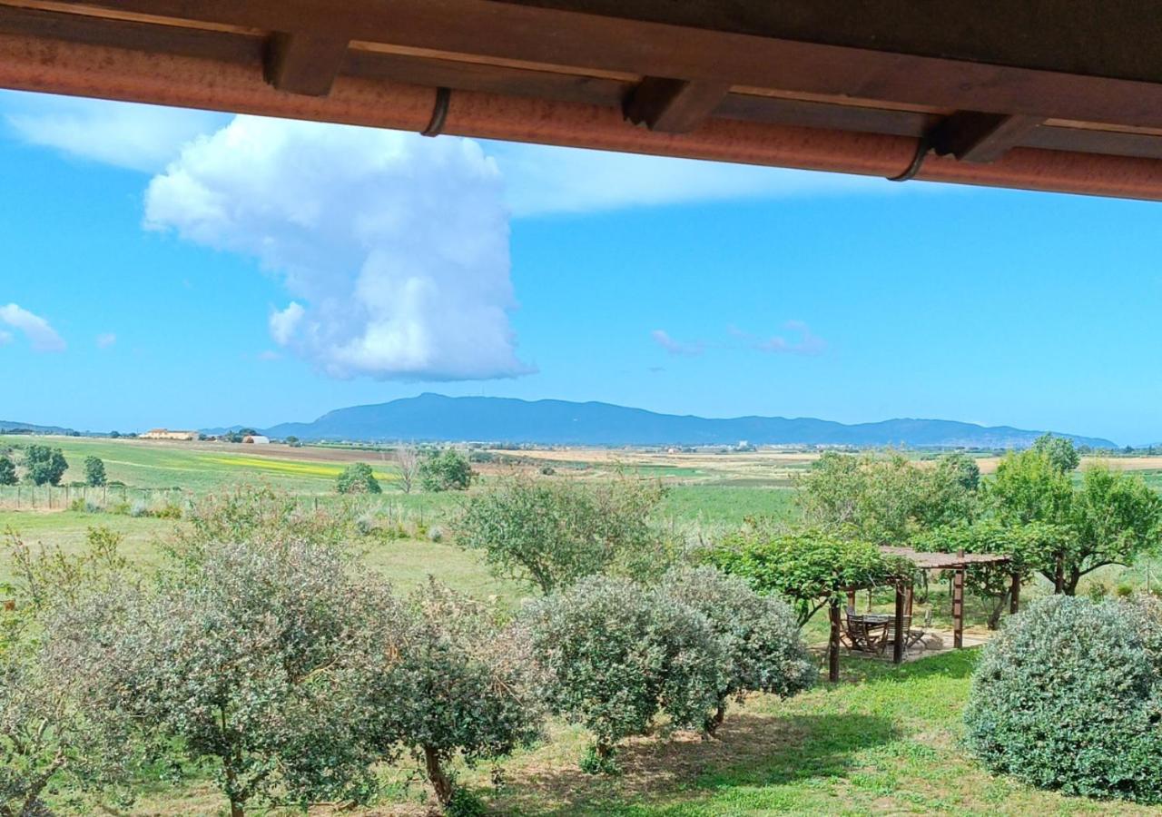 GIGANTI VERDI - Appartamento Pepe view 3