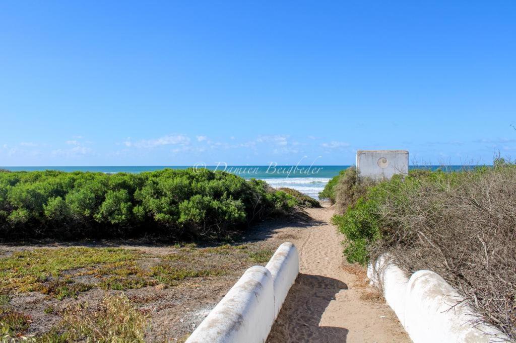 Charmant appartement au bord de mer view 5