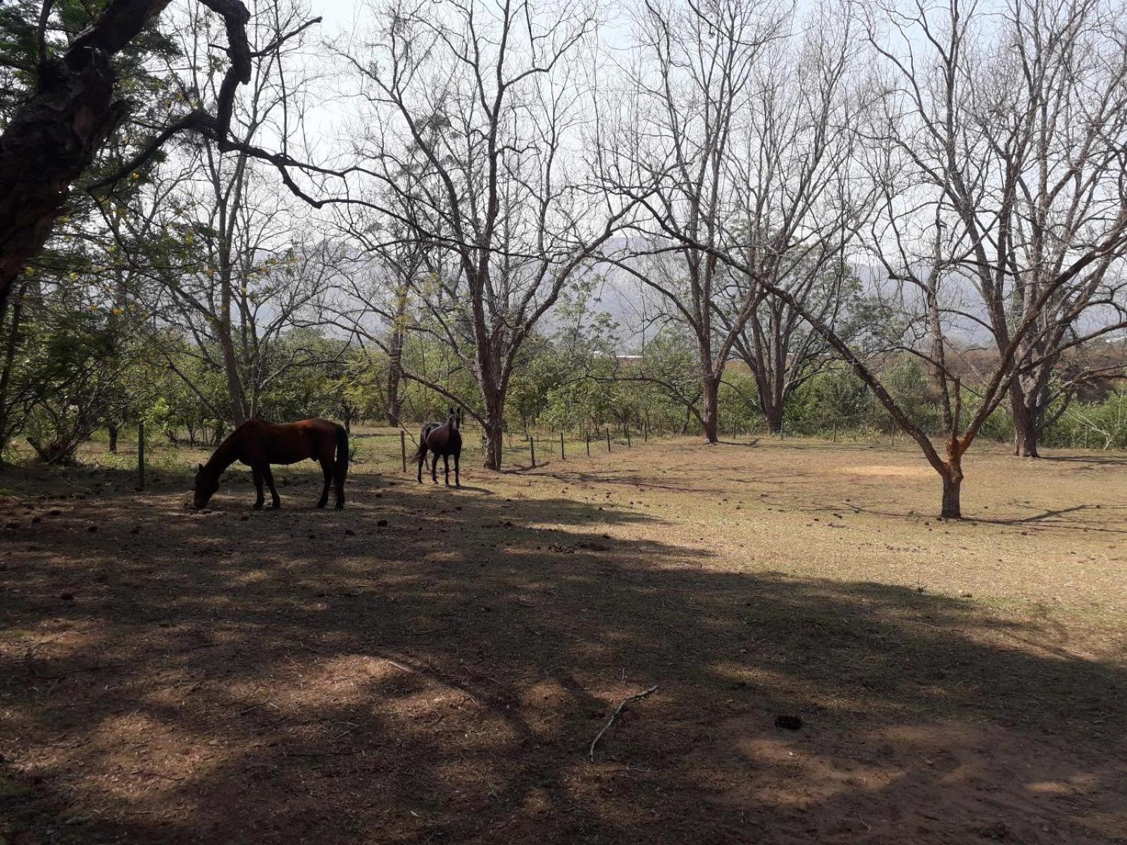 Buhleni Farm Chalets