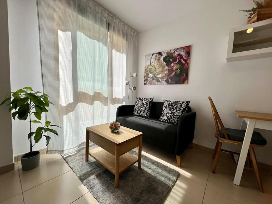 Estudio playa Costa Alegre