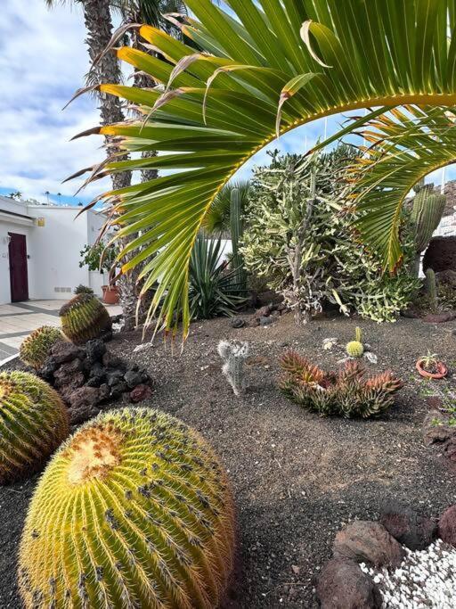 Happy Place Puerto Rico