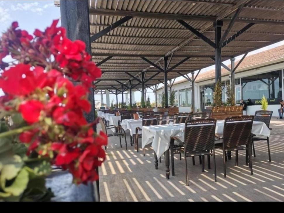 Delmar Hotel recidance