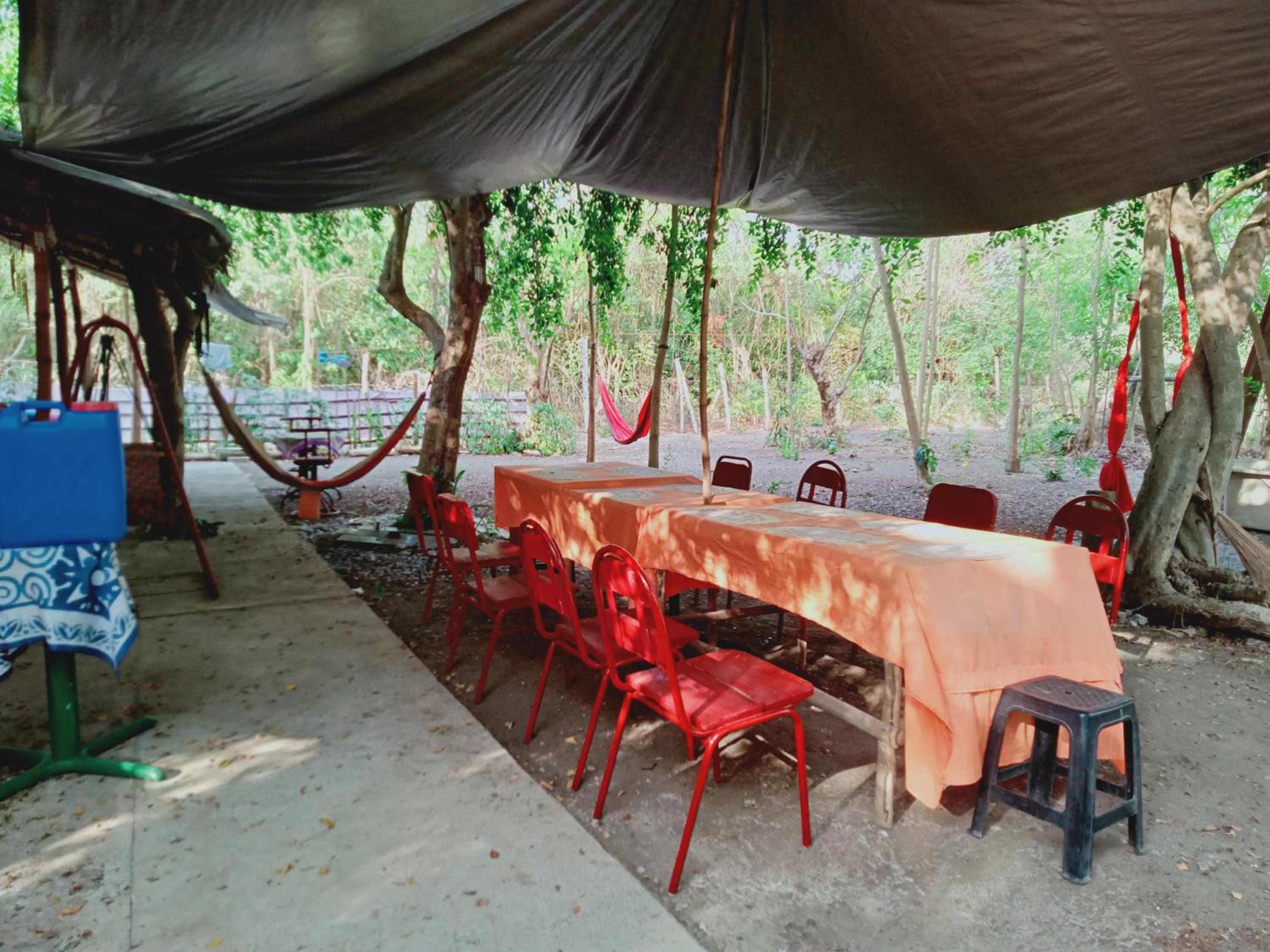 JUNGLE AERIAL ARTS NAMASTE LA UNION Chi fan kubo 2pax