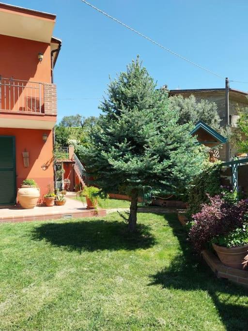 Villa Lucia view 5