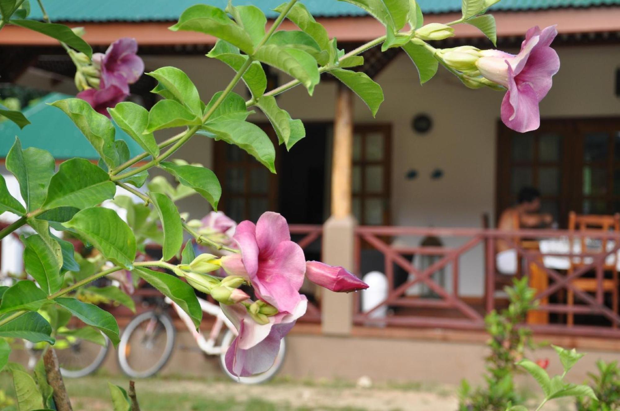 Paodise Guesthouse photo 4