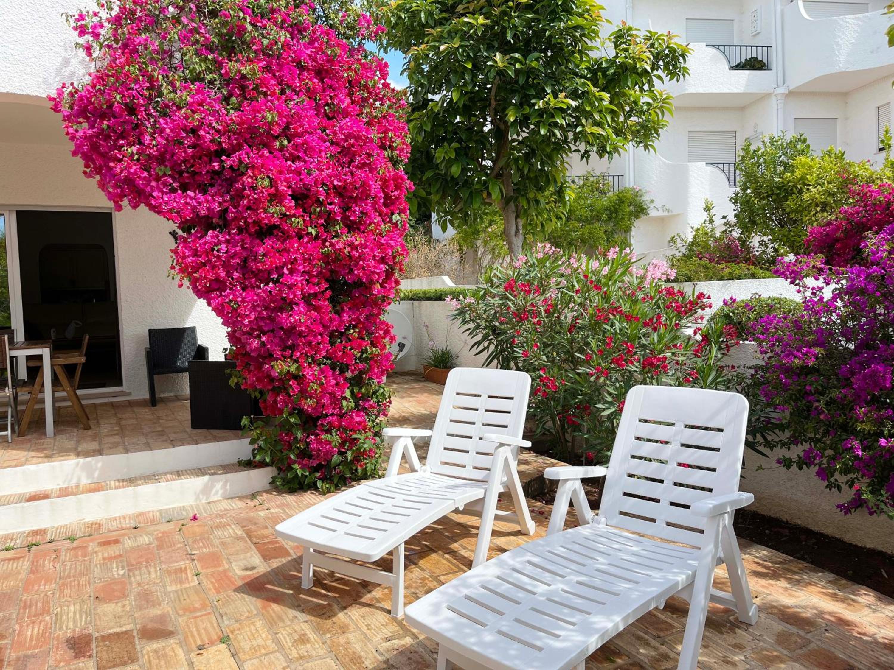 Buganvilia Praia da Luz