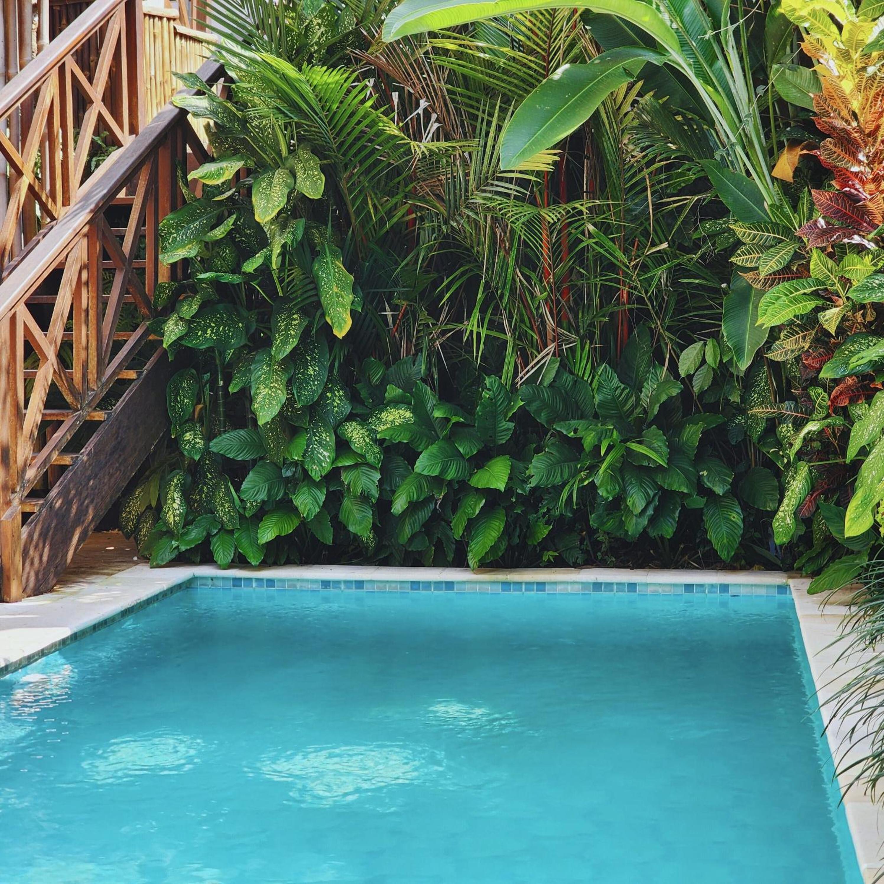 Danaya's villa view 5