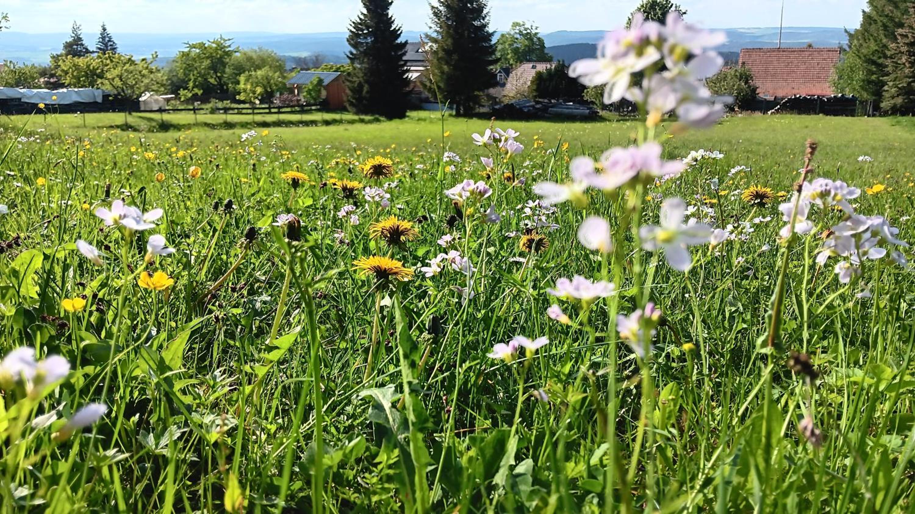Ferienwohnung Saalfeld - Sommerfrische Burkersdorf