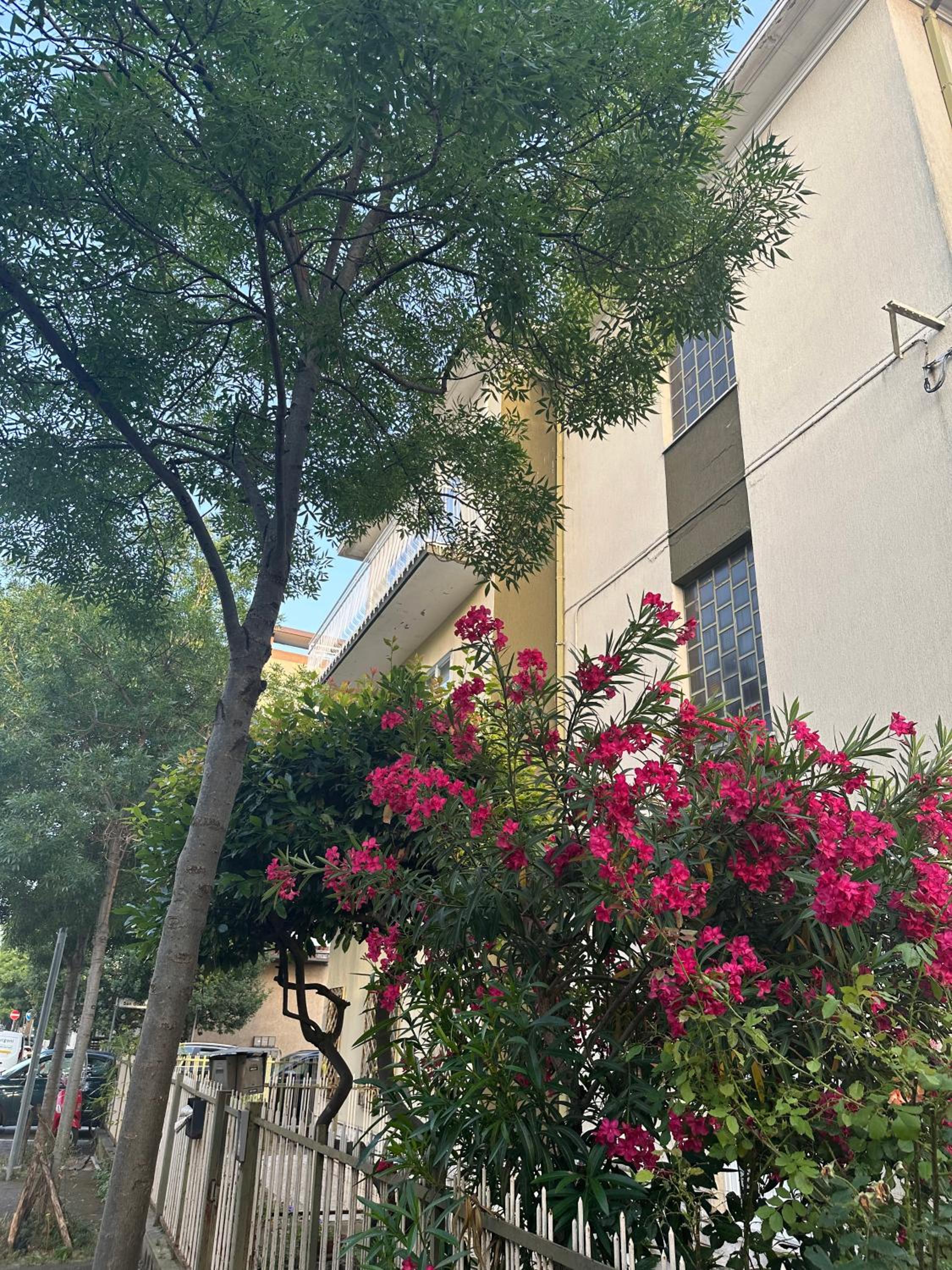 Appartamento Borgo SanGiuliano