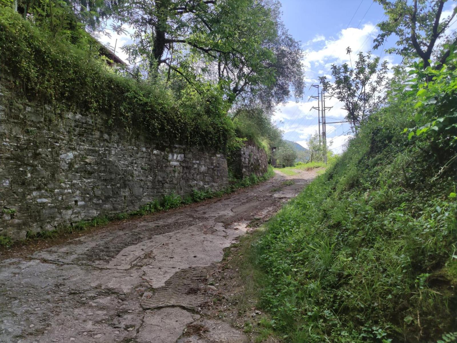 Photo 43
