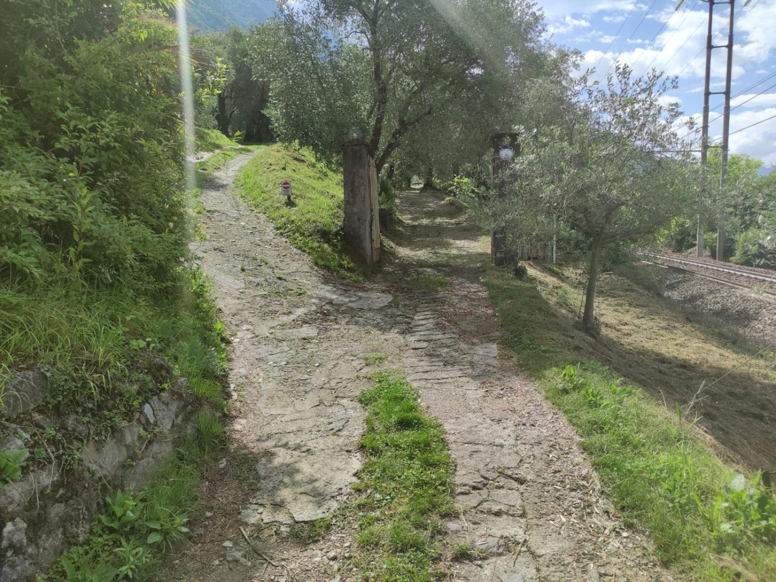 Photo 44