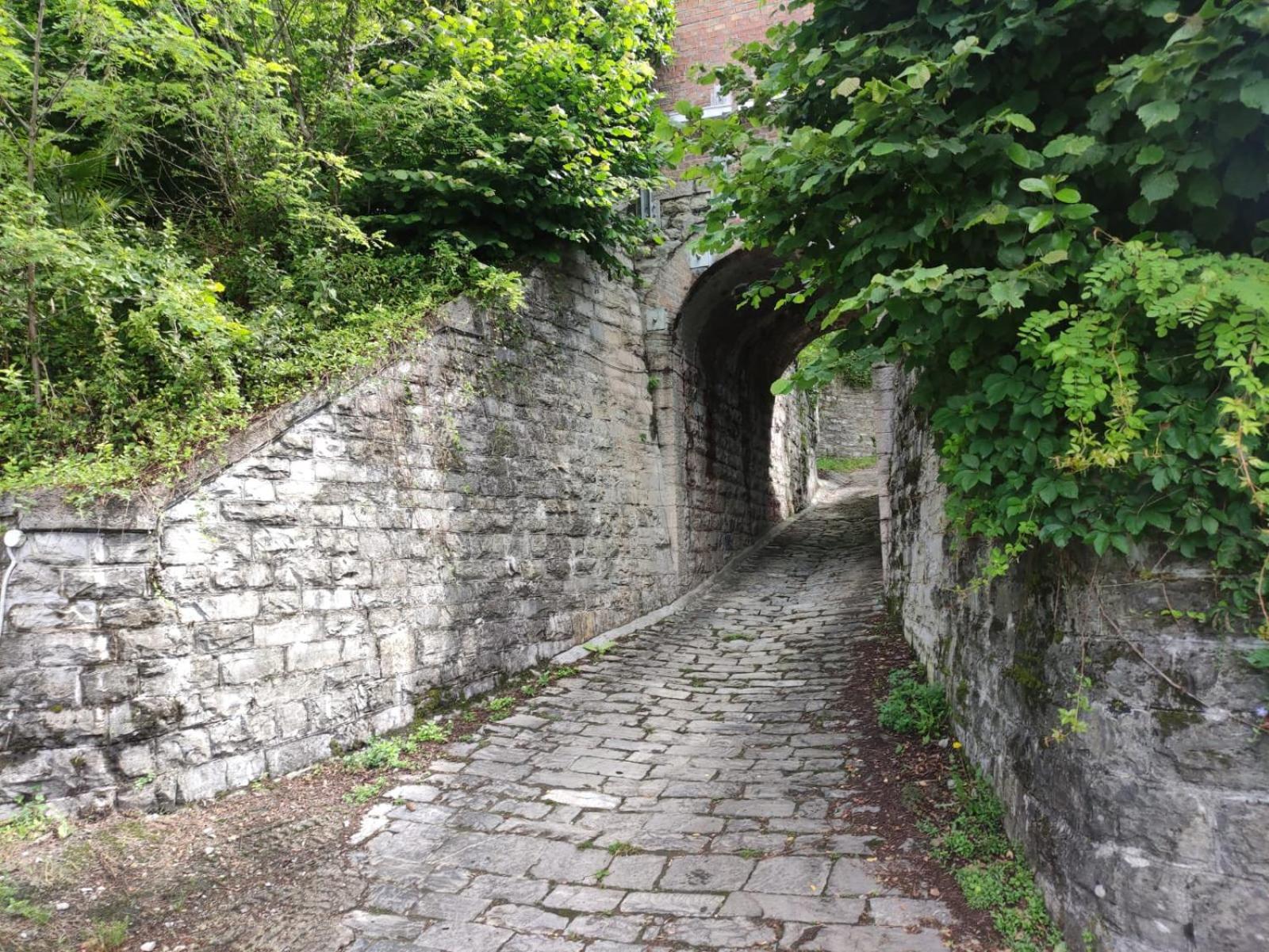 Photo 41