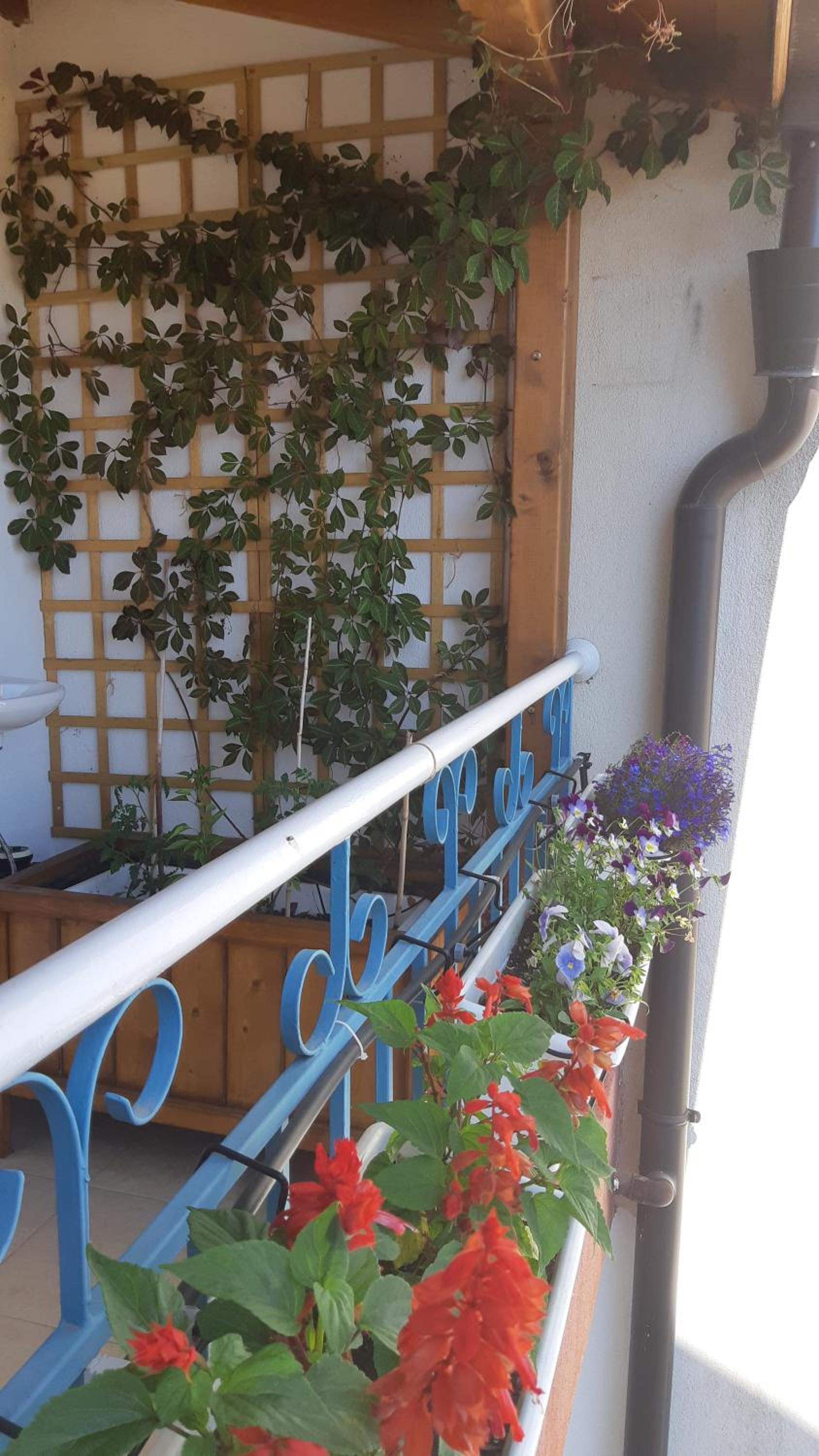 COCO Coworking & Coliving