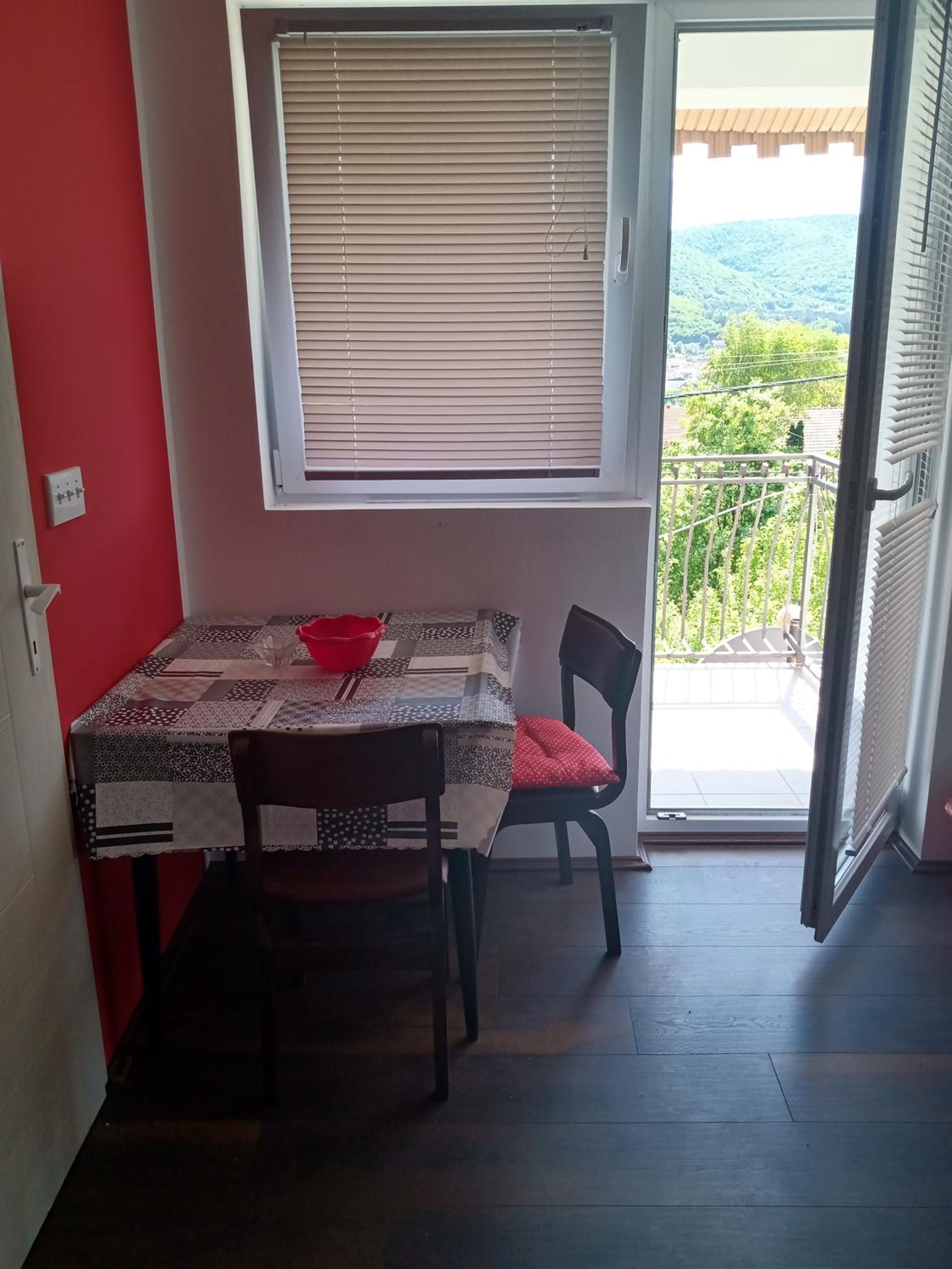 Vila Premier Sokobanja view 2