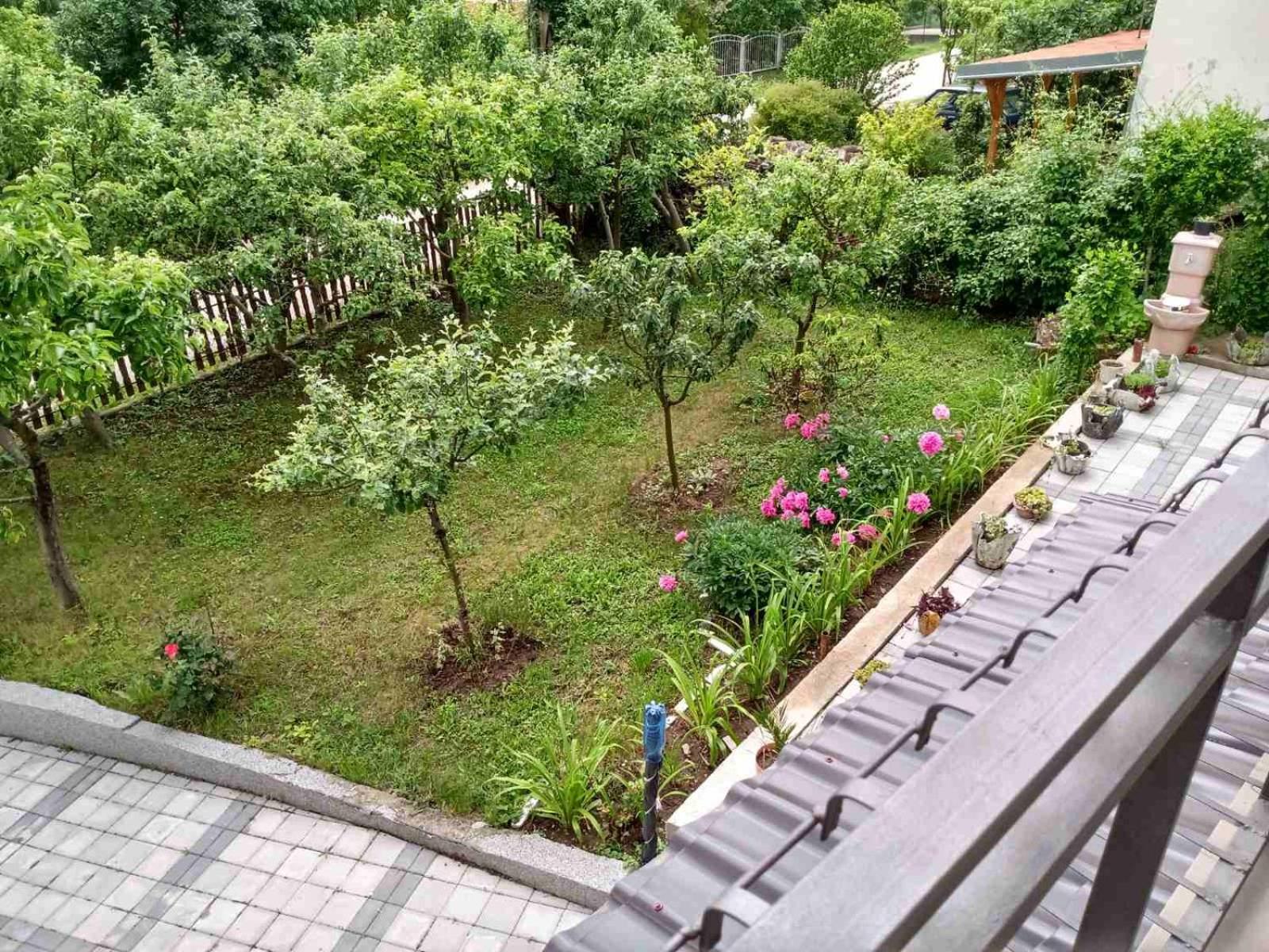 Vila Premier Sokobanja view 3