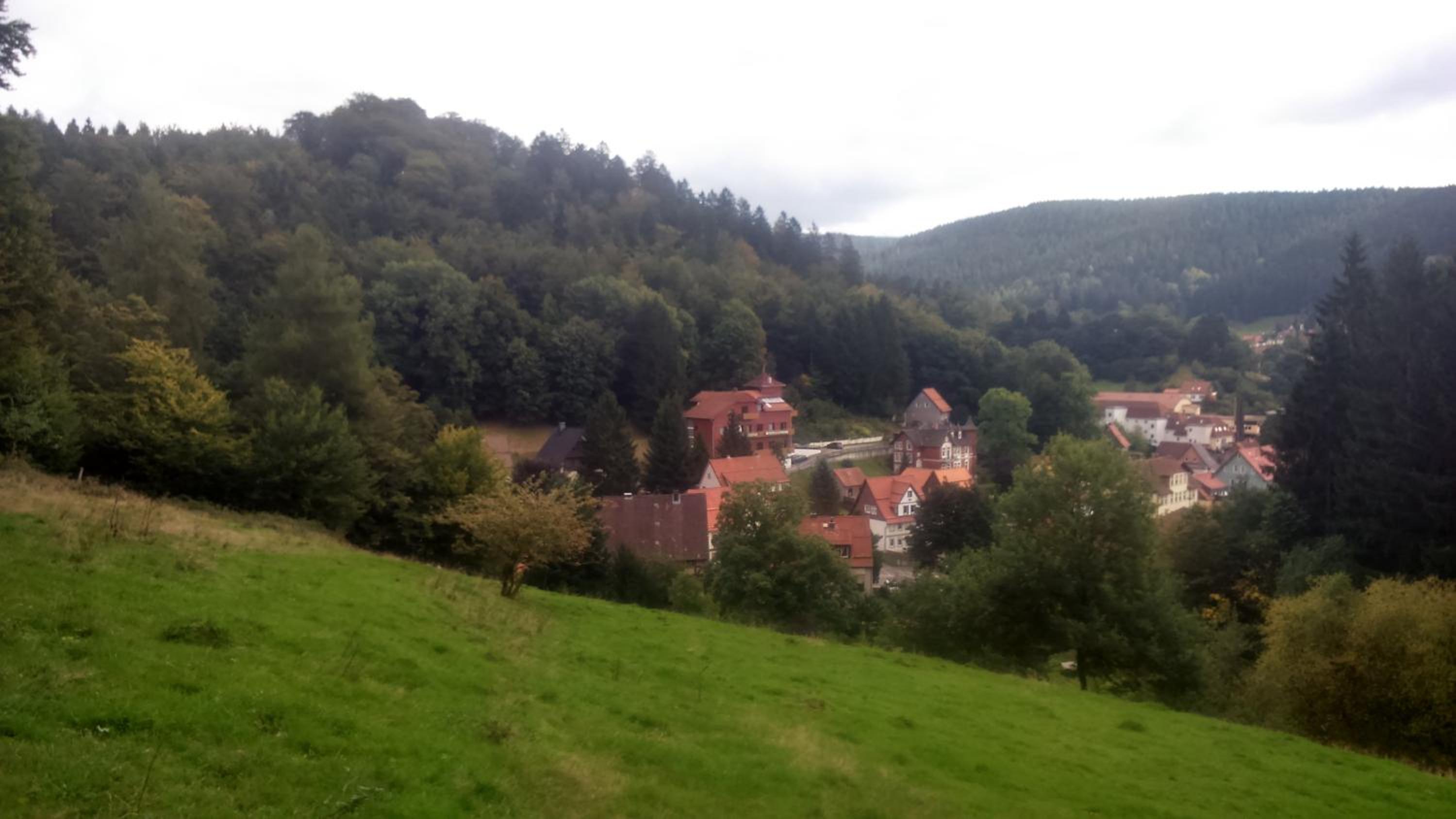 Hotel-Pension Waldhaus