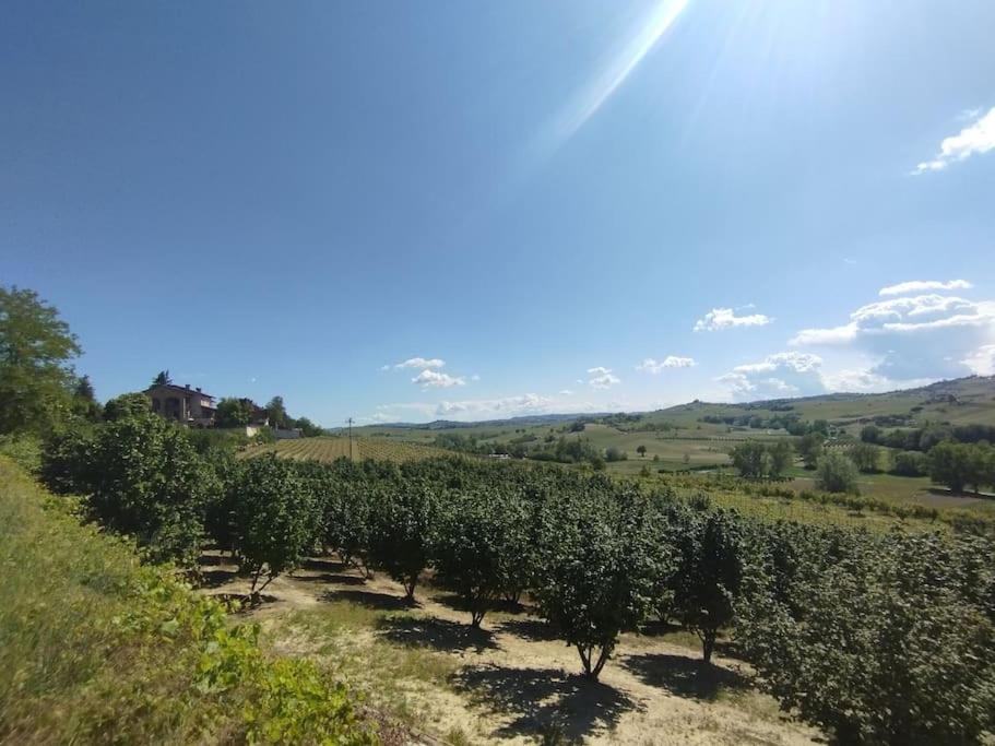 Ca' d'la nona casa con giardino view 3