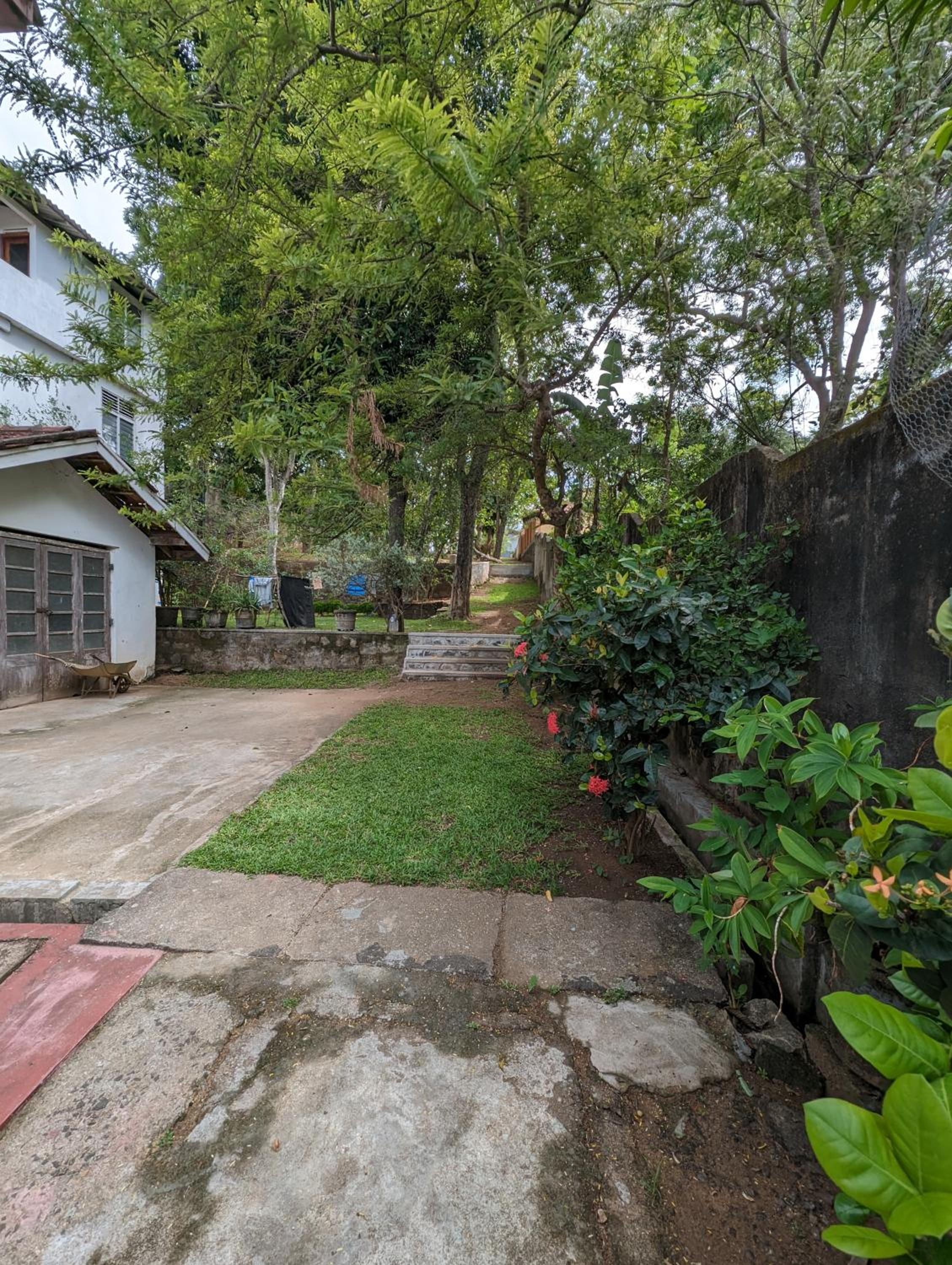 The Elephant Beach House view 3