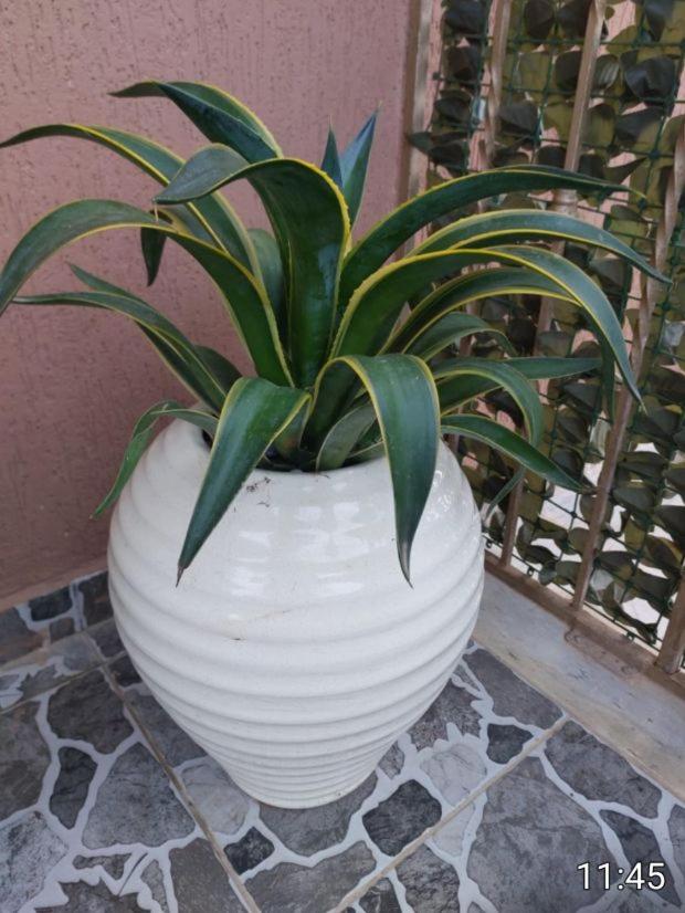 Residence El Baraka