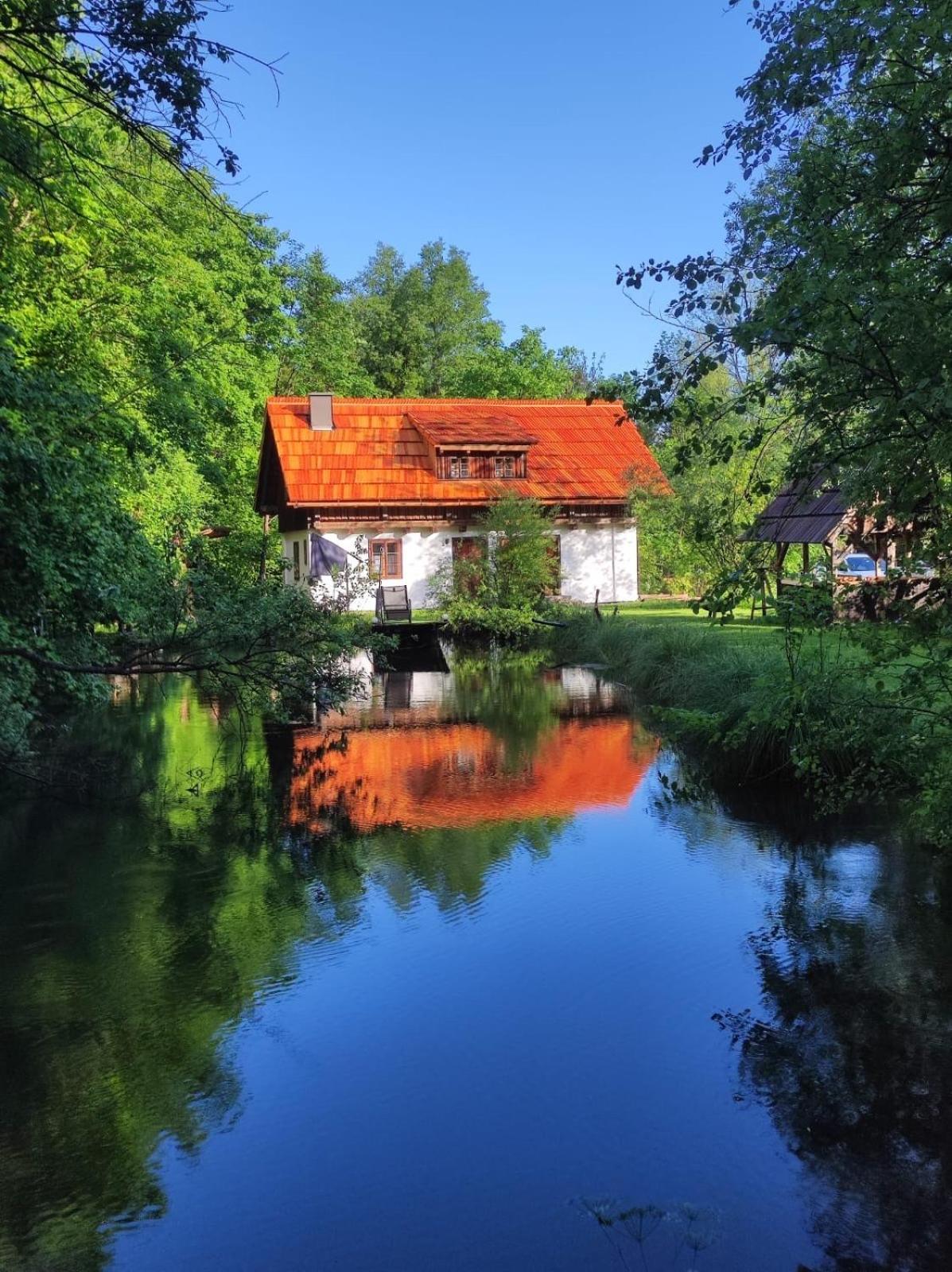 Ferienhaus Klopeinersee Kärnten
