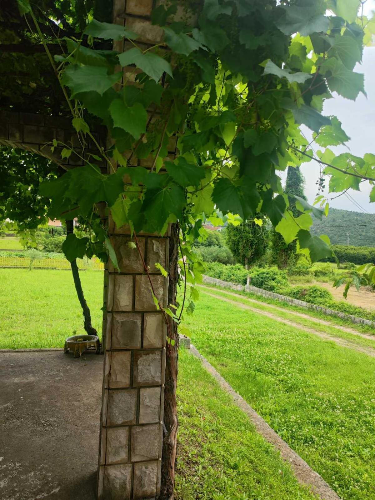 Apartman Obradović