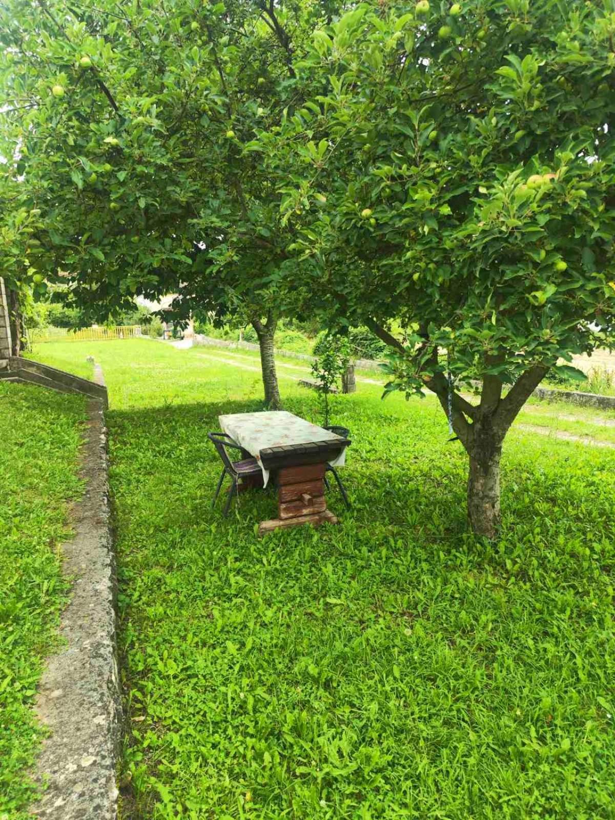 Apartman Obradović