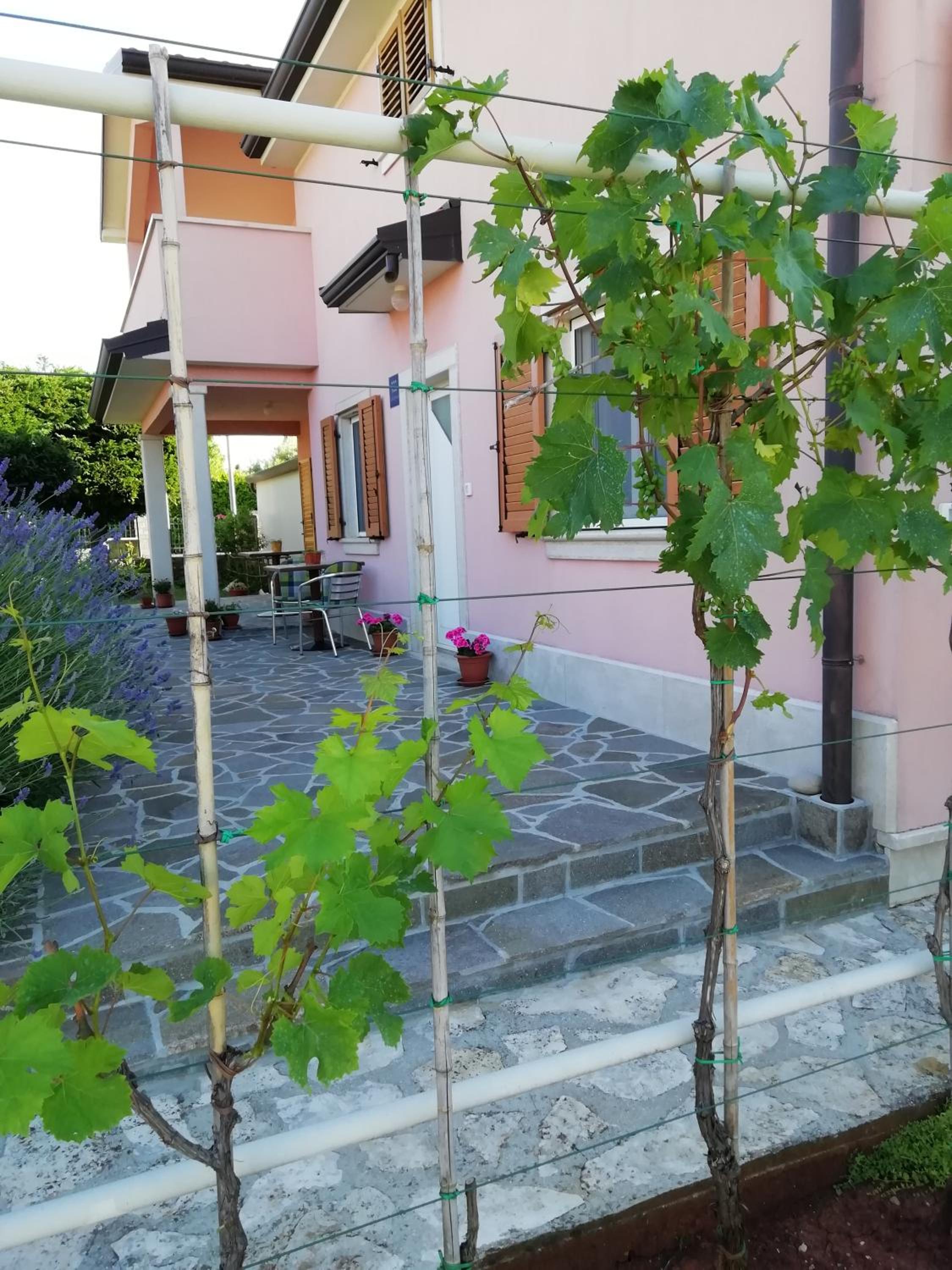 Apartmani Vesna