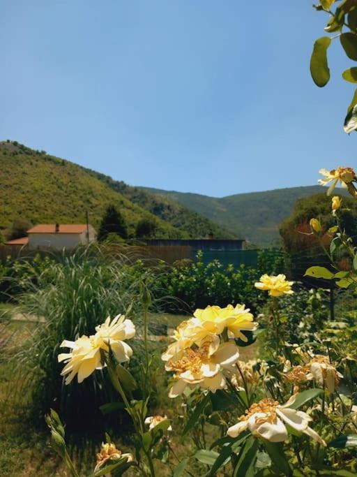 Villa Sunshine