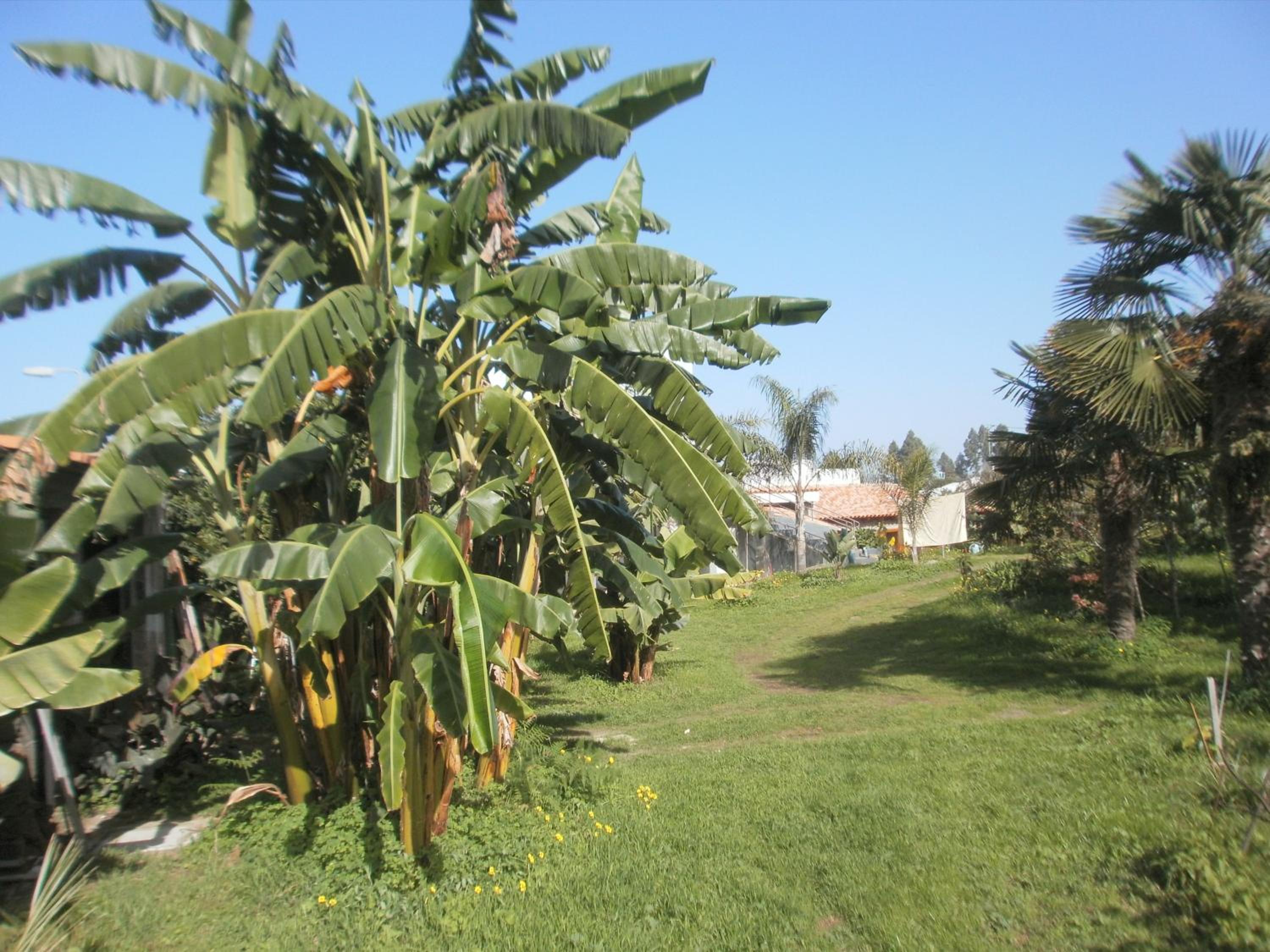 Photo 43