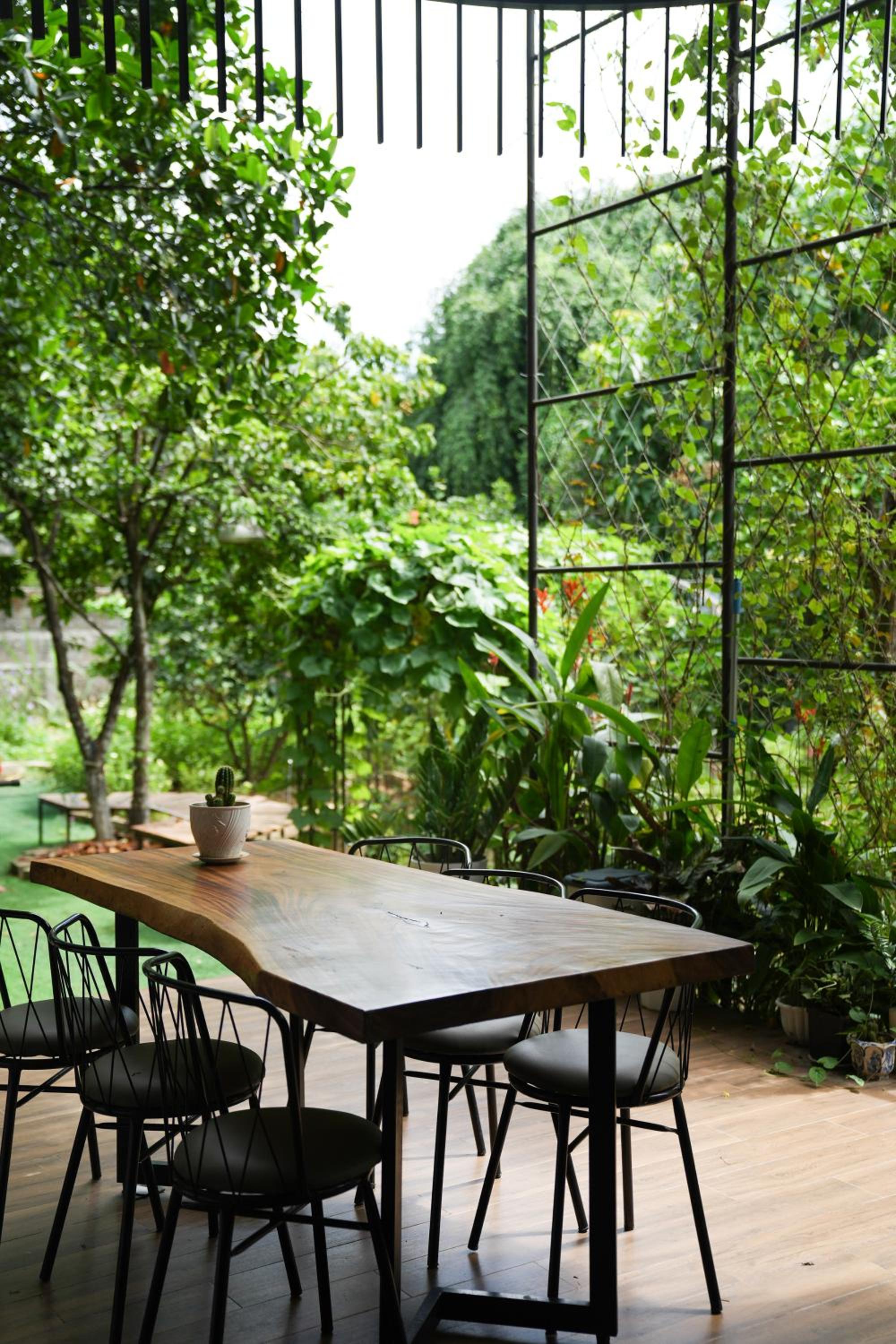 TT Villa Hue view 5
