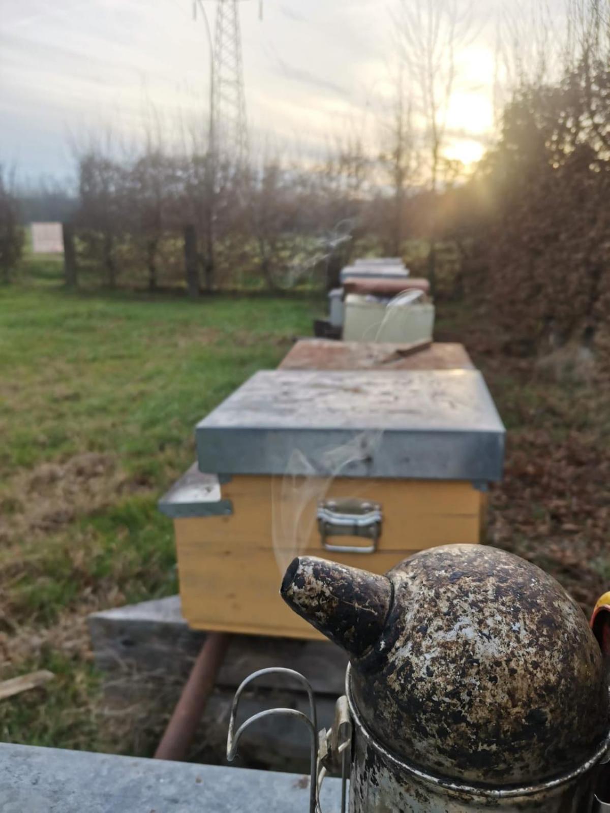 Agriturismo Sadira