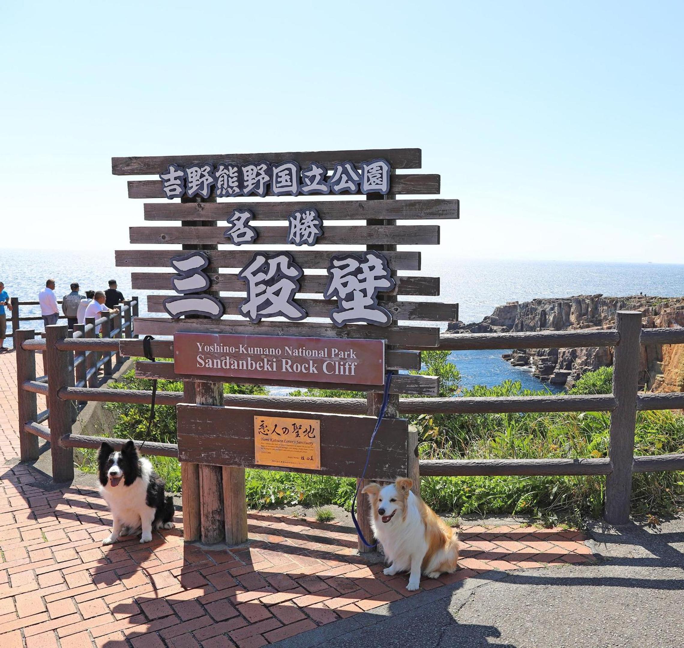 Photo 30