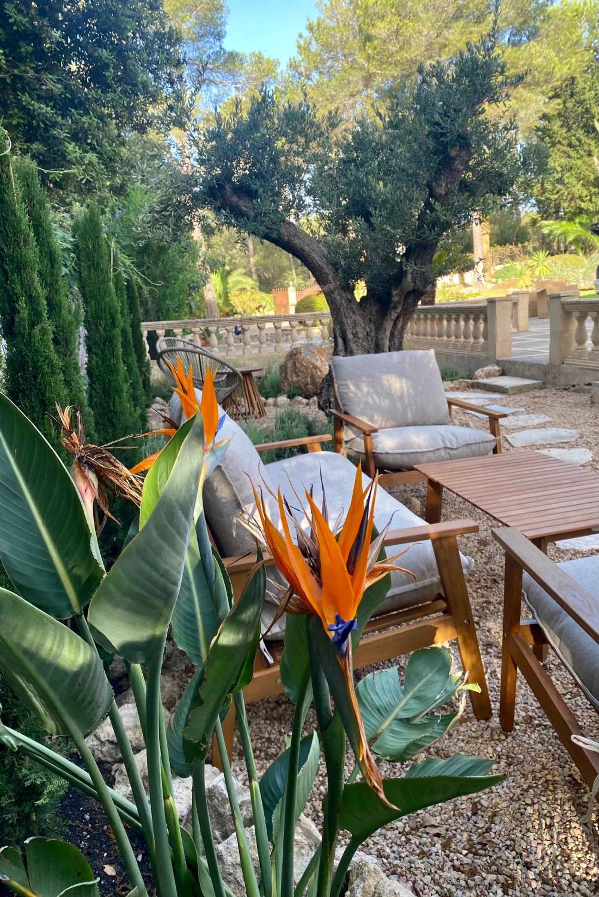 Villa Son Sera