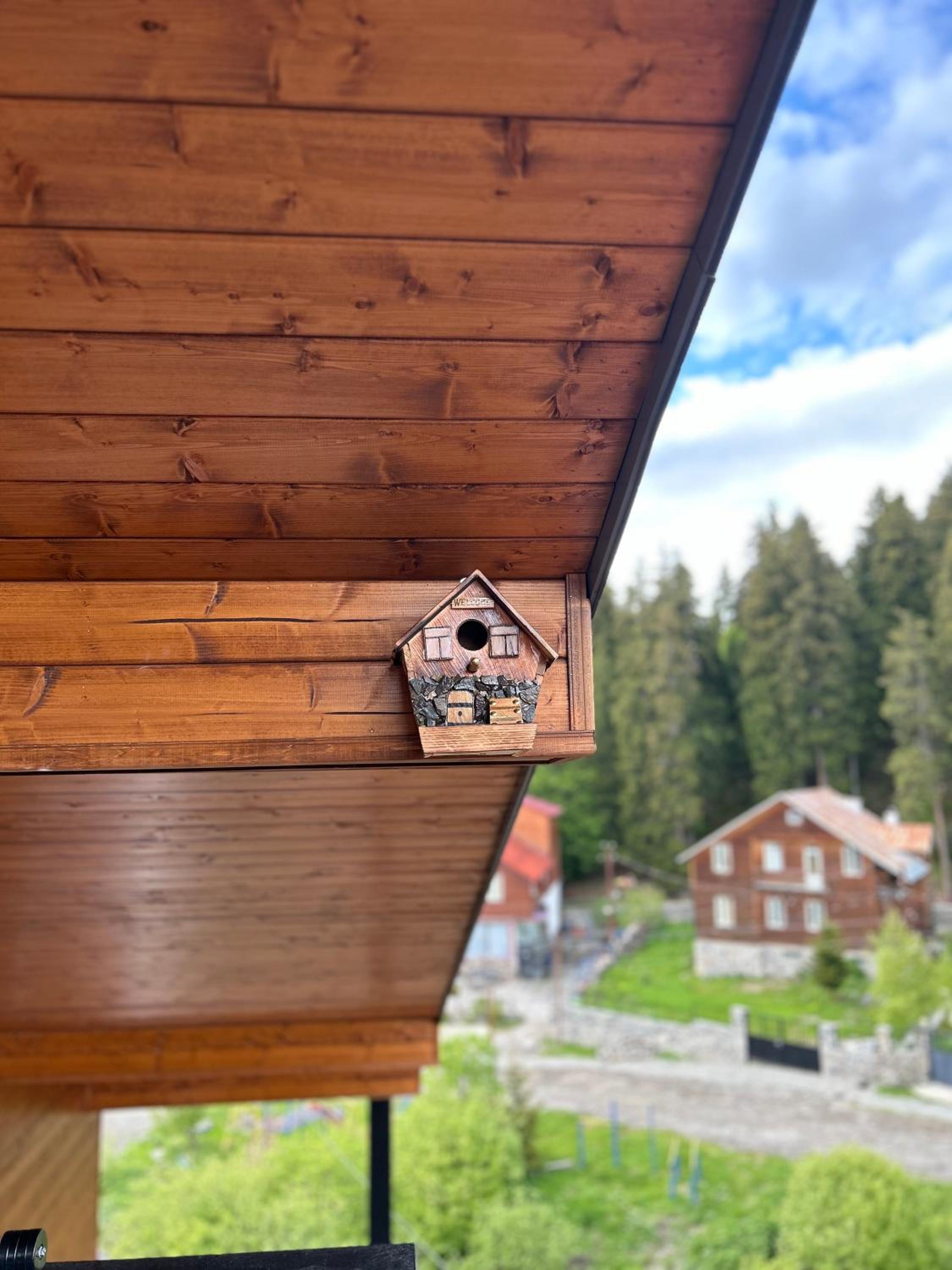 Cozy nest apartment in Bakuriani view 4