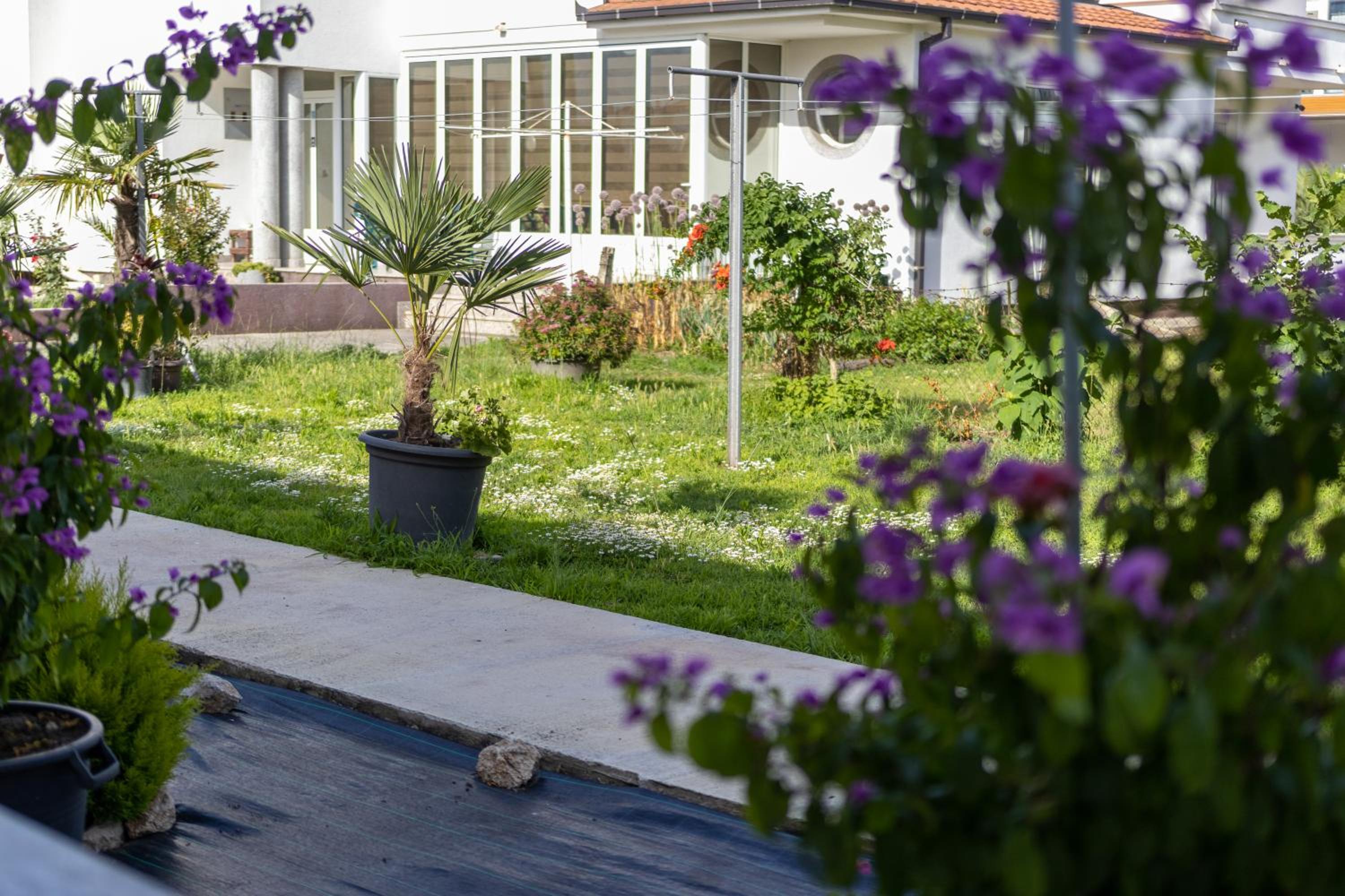 Tomi Guesthouse