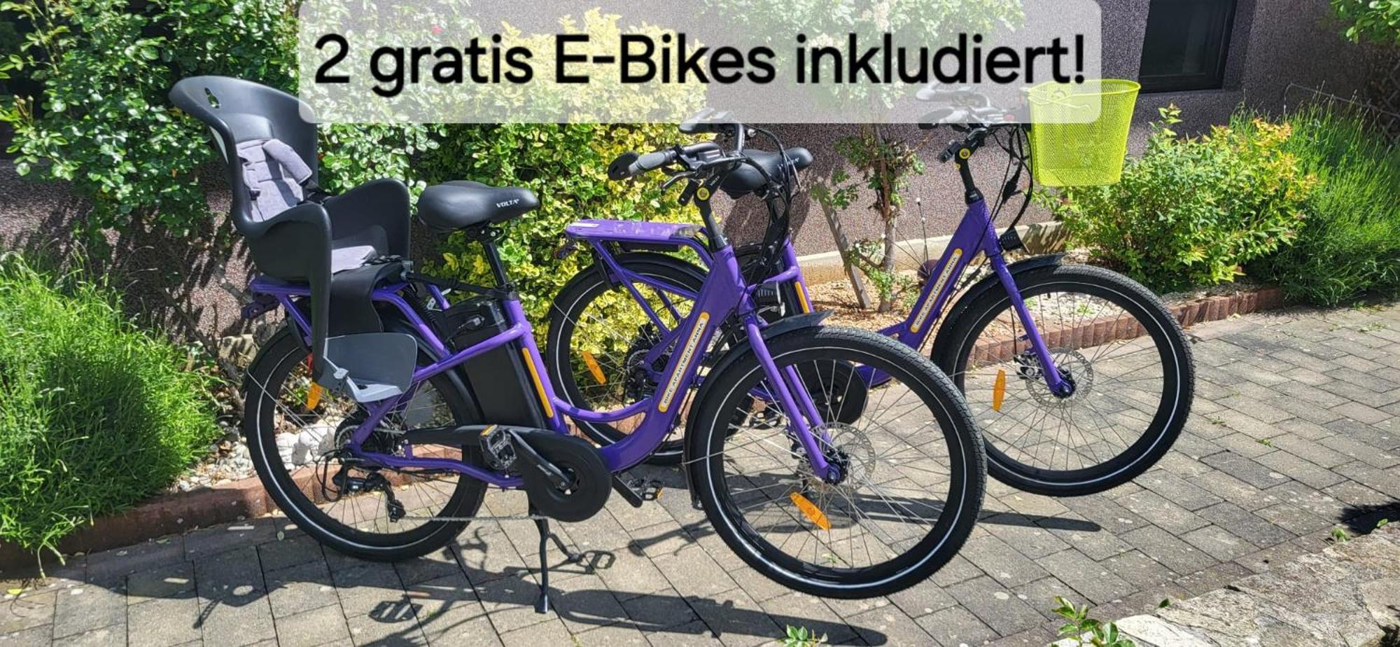 Zwei Schlafzimmer Ferienapartment Anna am Stubenbergsee inklusive zwei E-Bikes