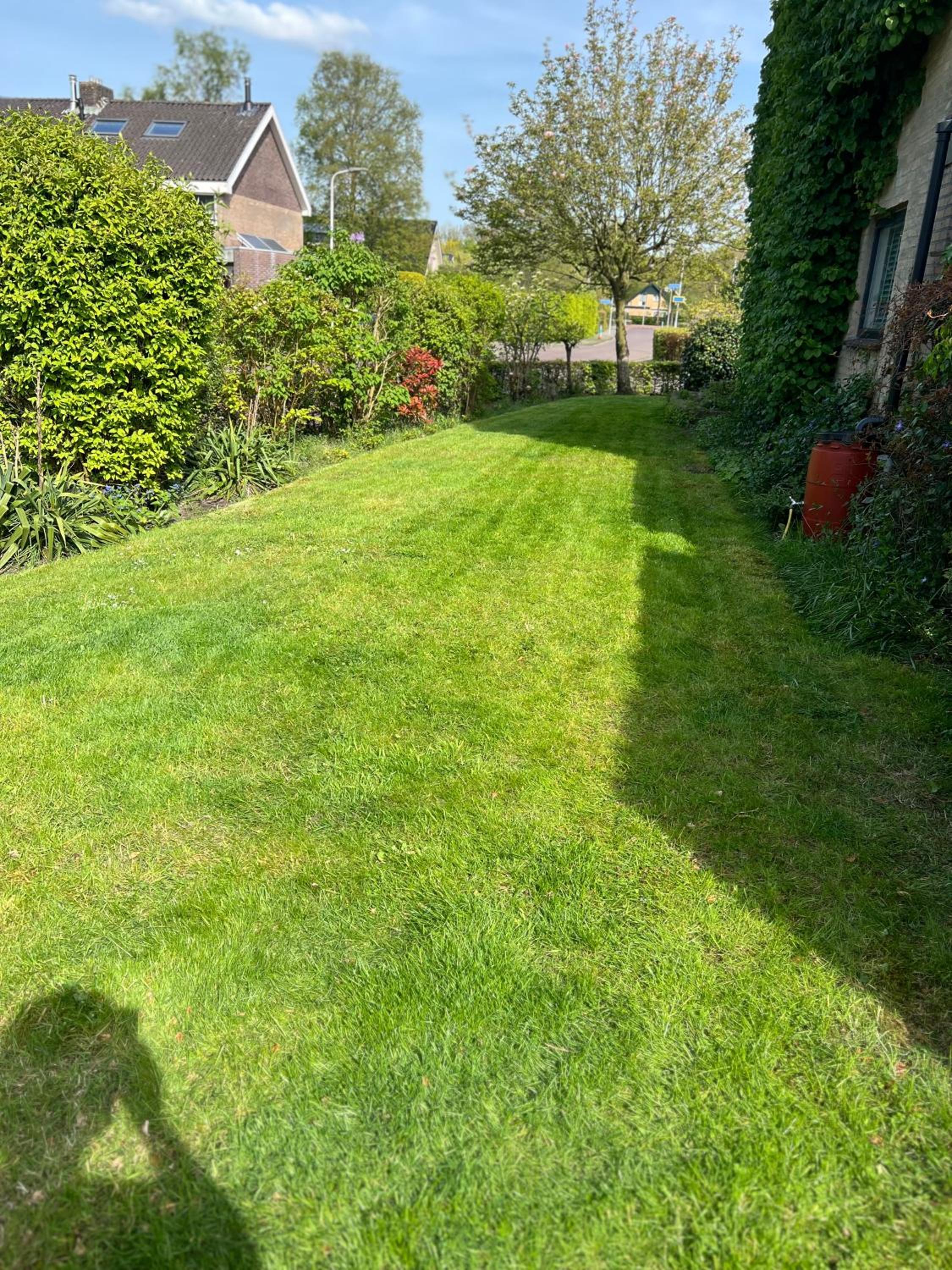 Photo 26