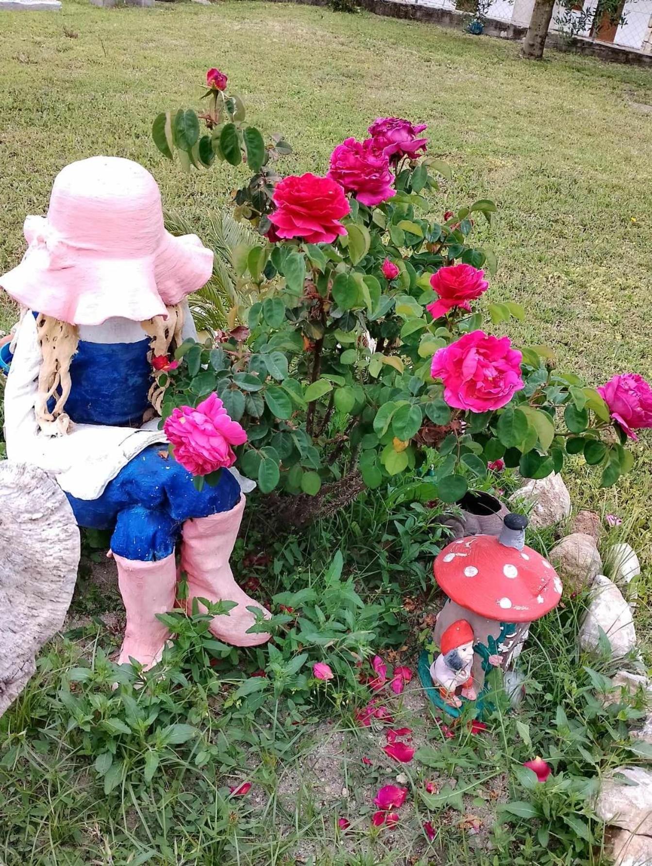 Alexandra's garden