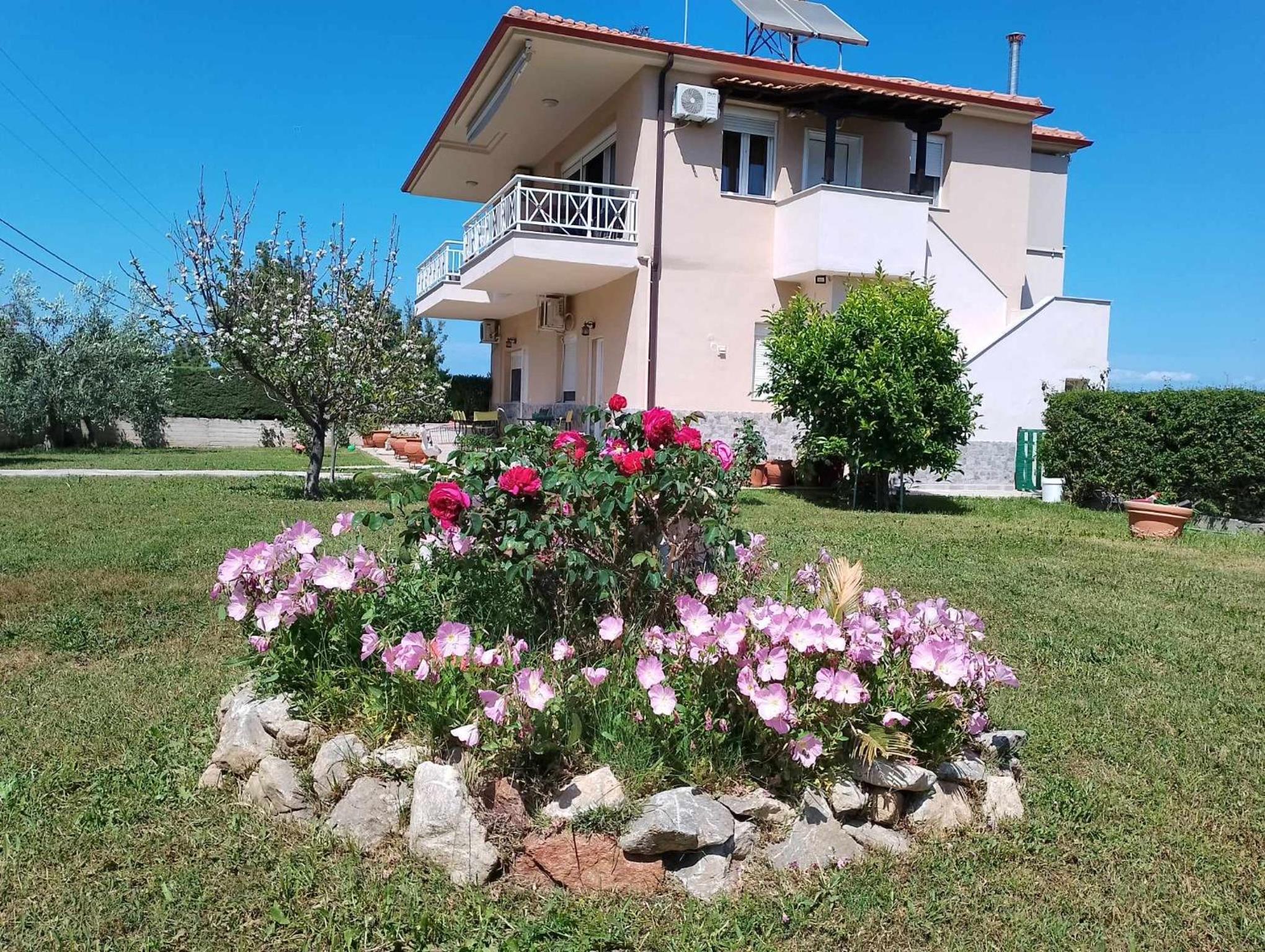 Alexandra's garden