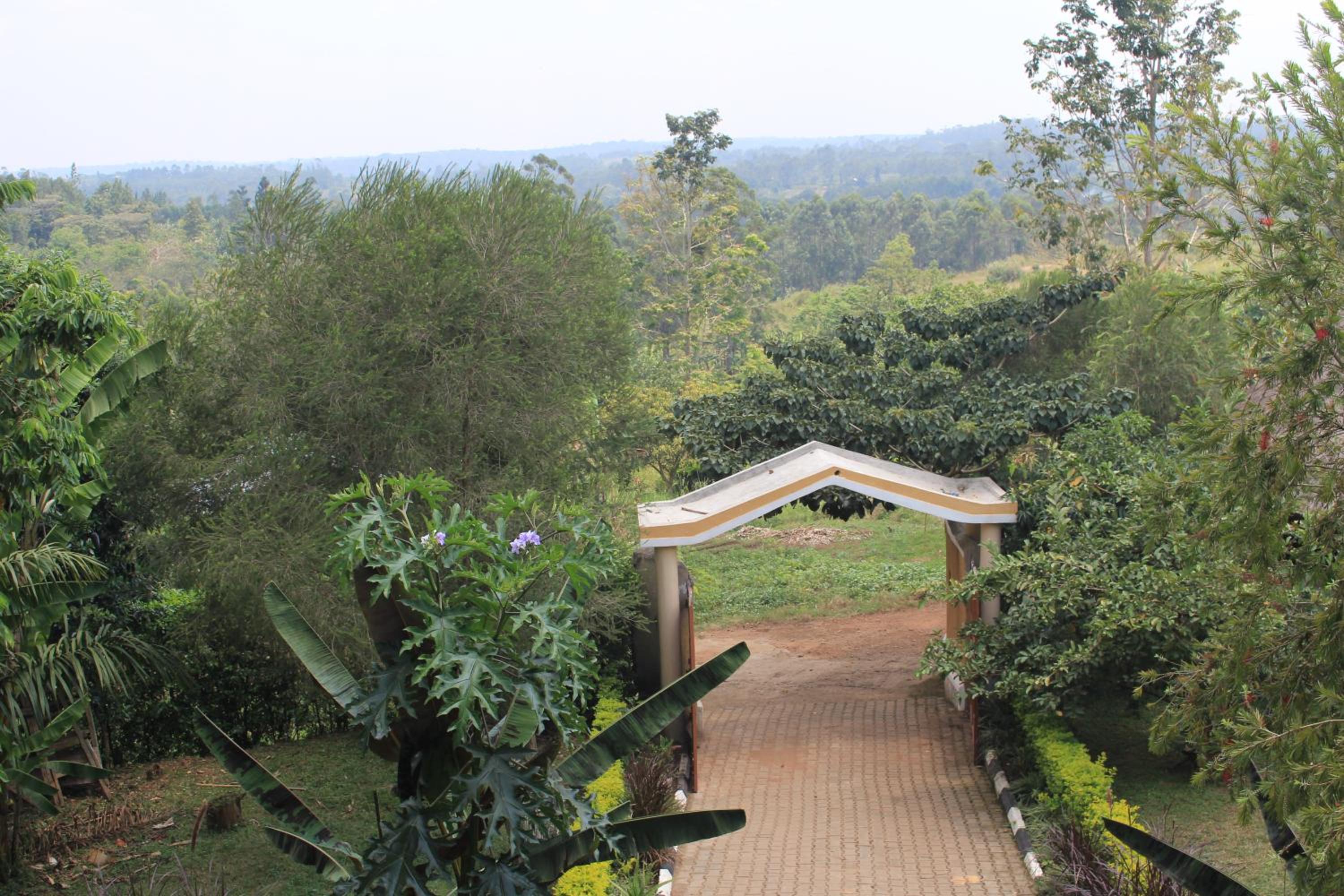 Tinka,s Homestead view 3