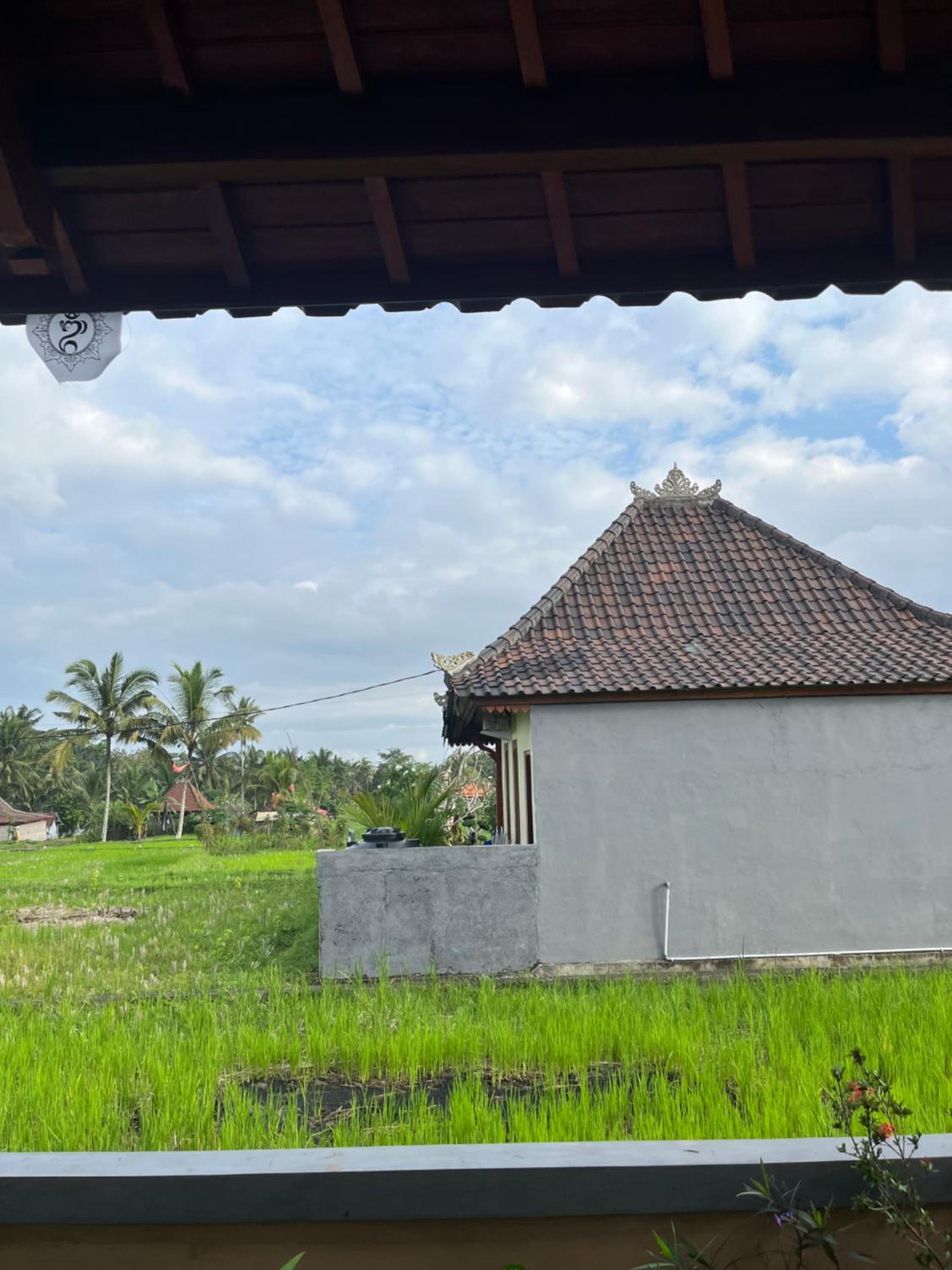 Nano Ari House view 3