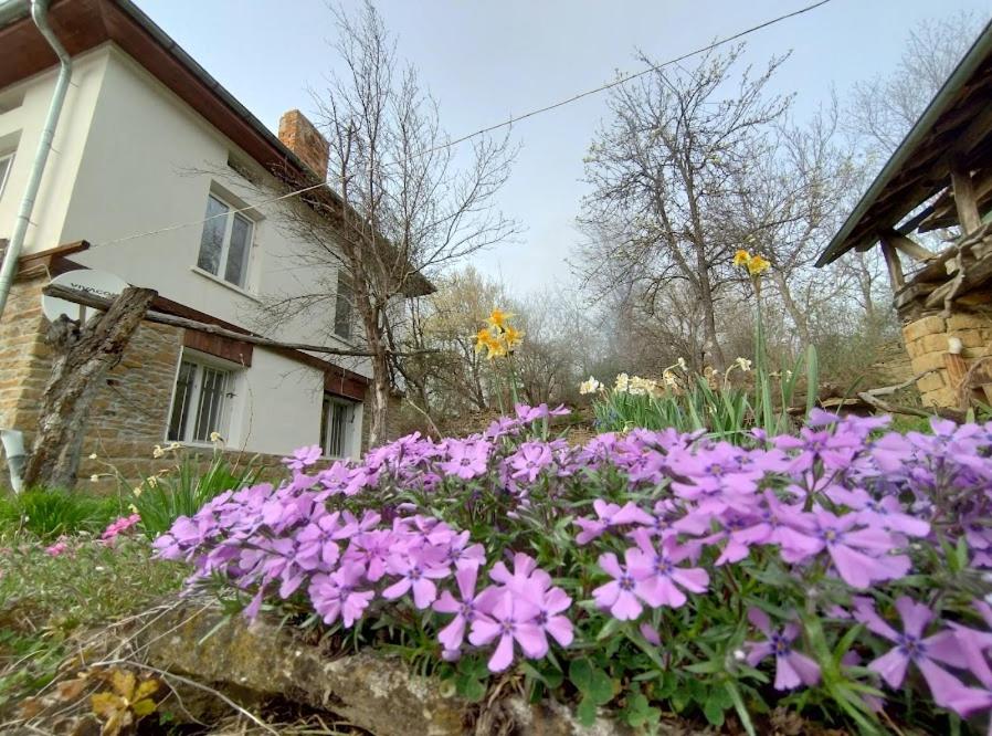 Family Guest House Nikola