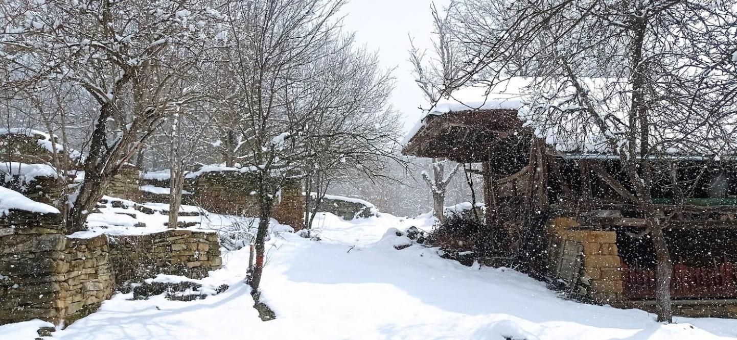 Family Guest House Nikola