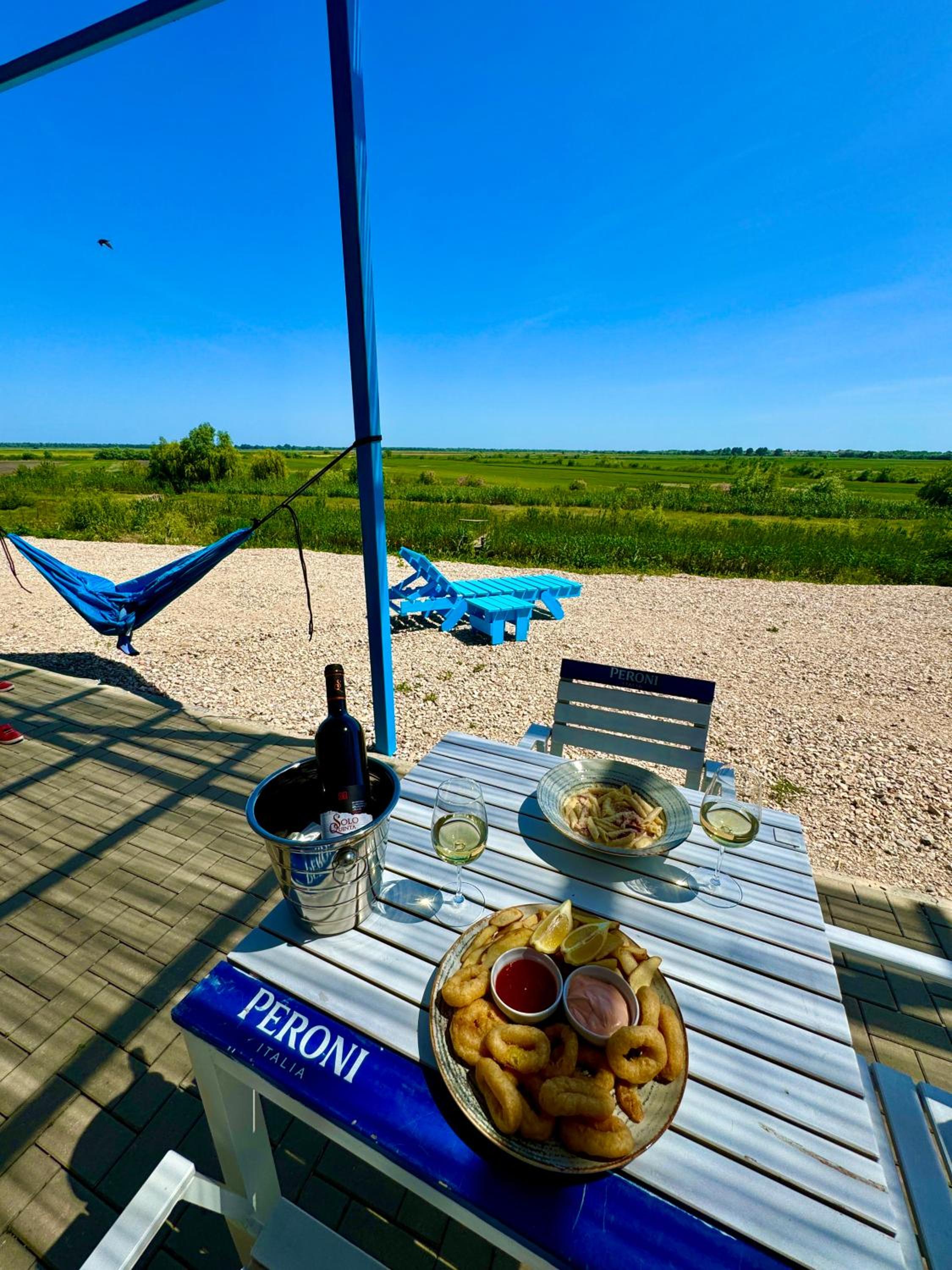 Danube Delta View