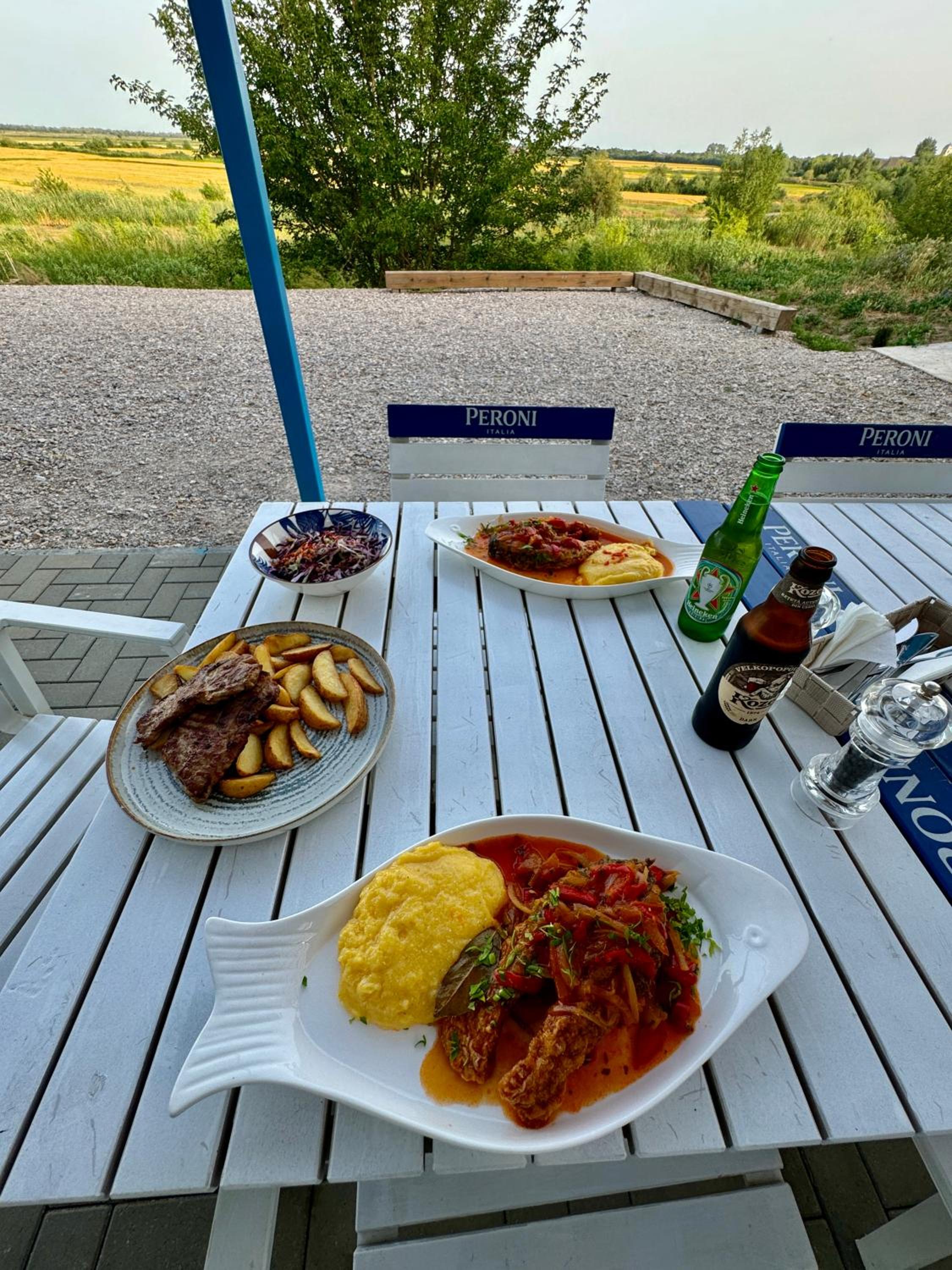 Danube Delta View