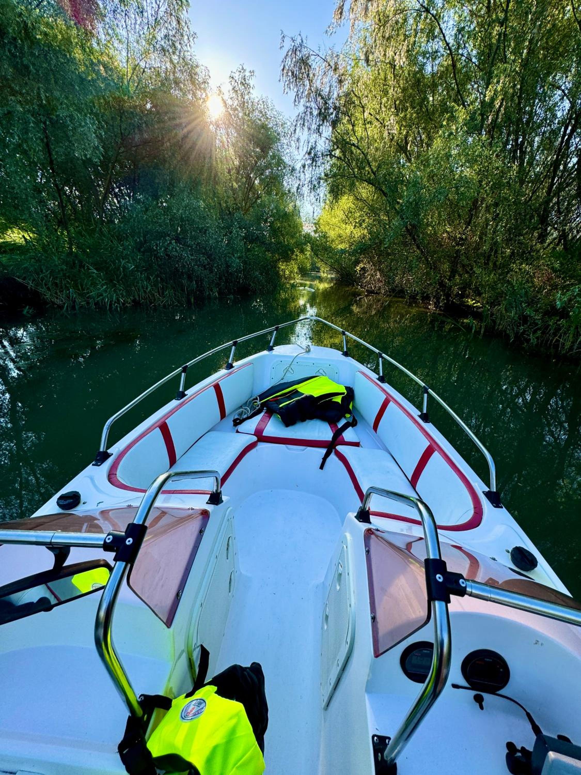 Danube Delta View