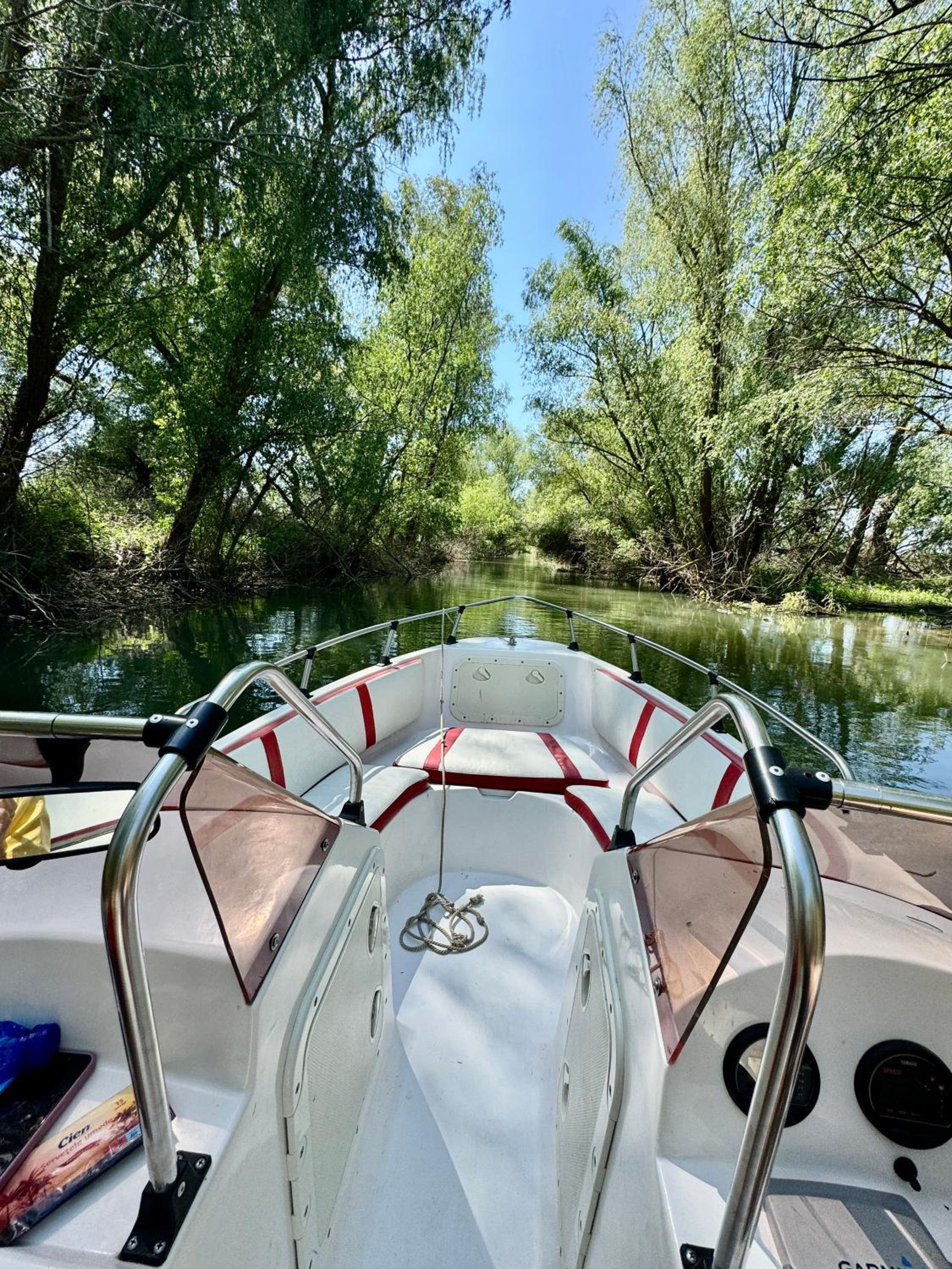 Danube Delta View