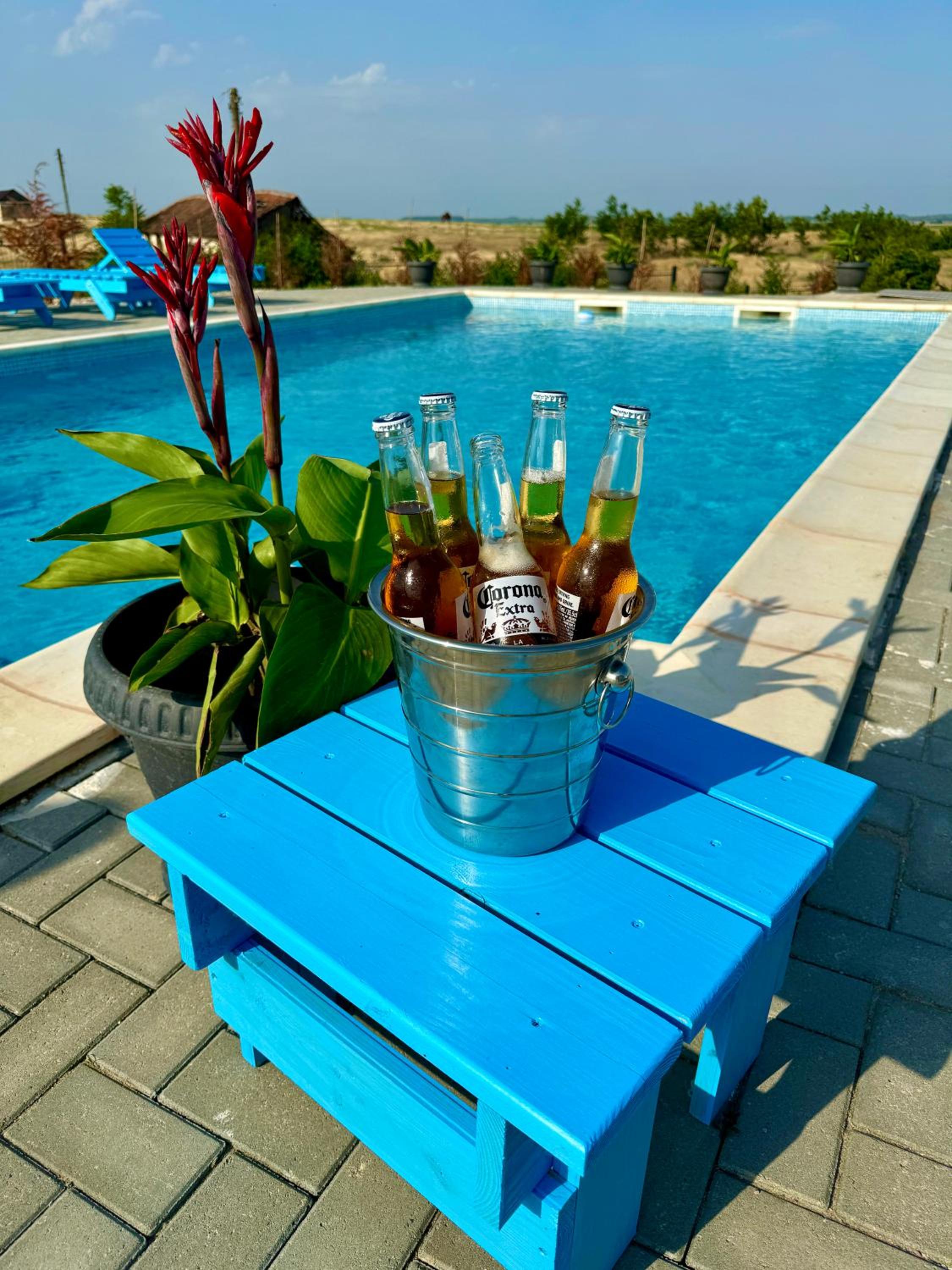Danube Delta View